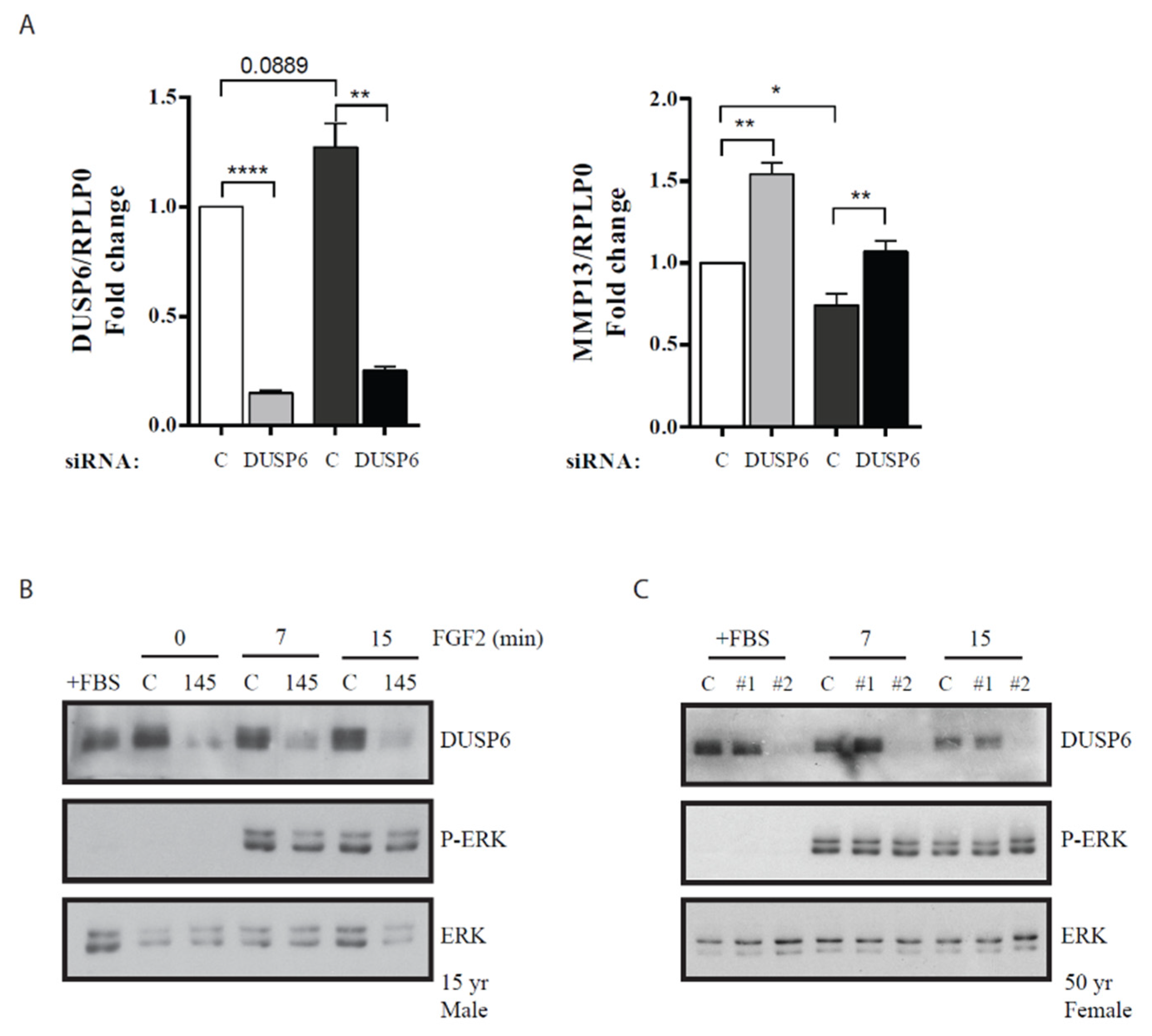 Life 10 00058 g006 Life 10 00058 g006