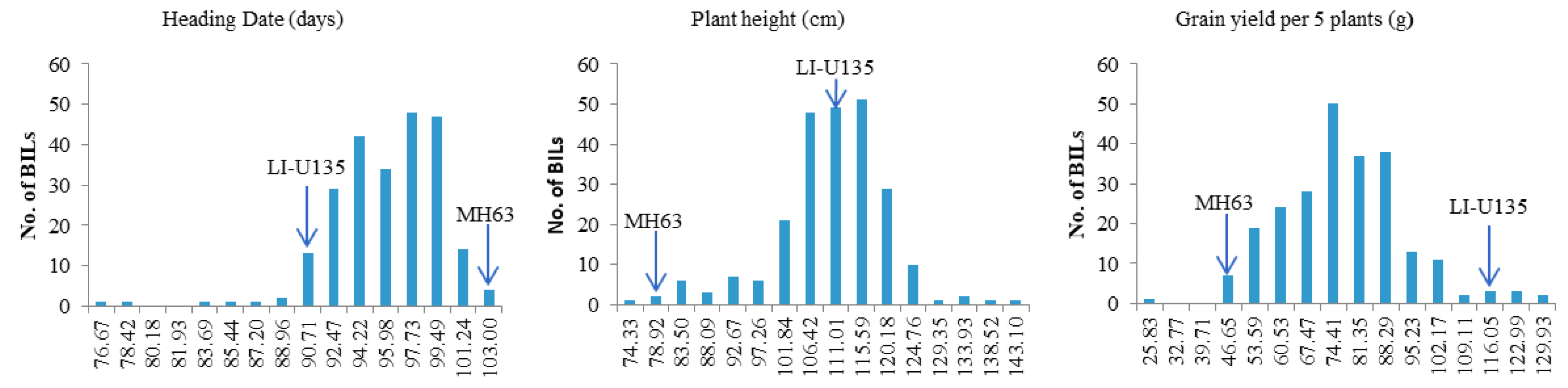 Life 10 00065 g001 Life 10 00065 g001