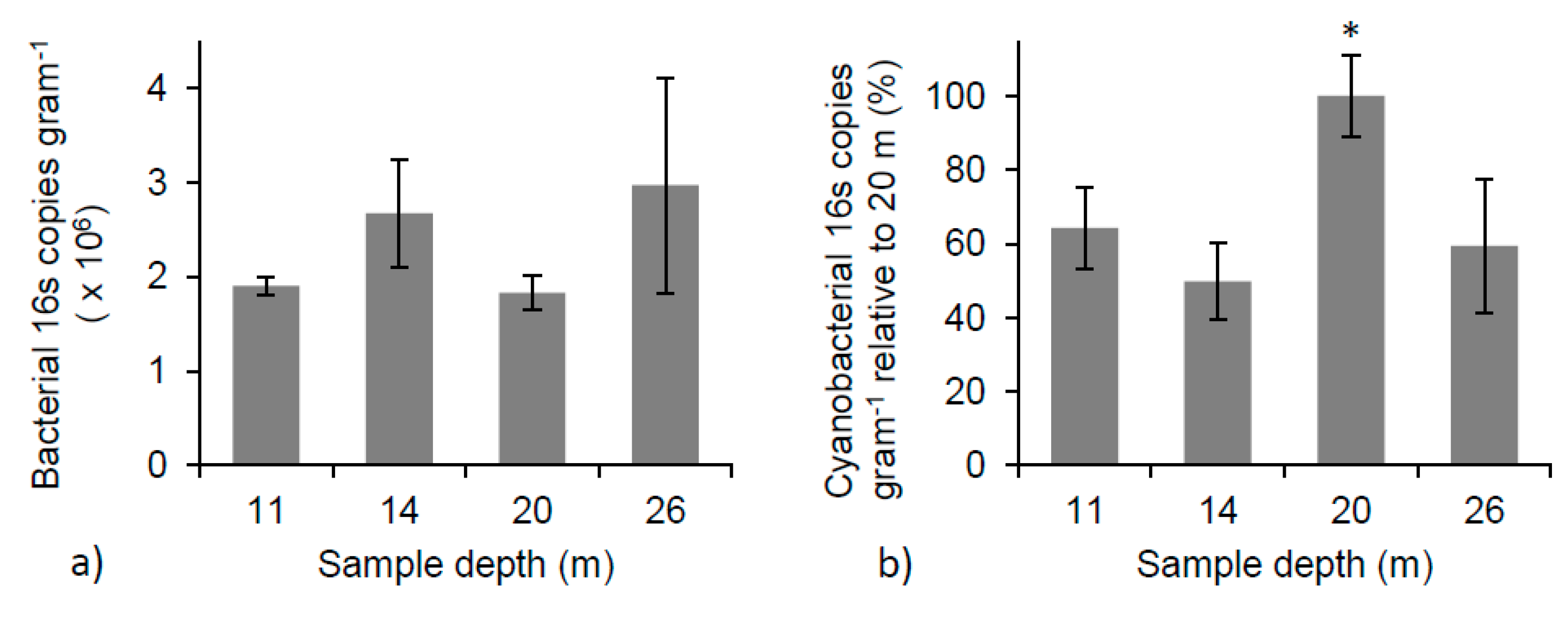 Life 10 00066 g006 Life 10 00066 g006