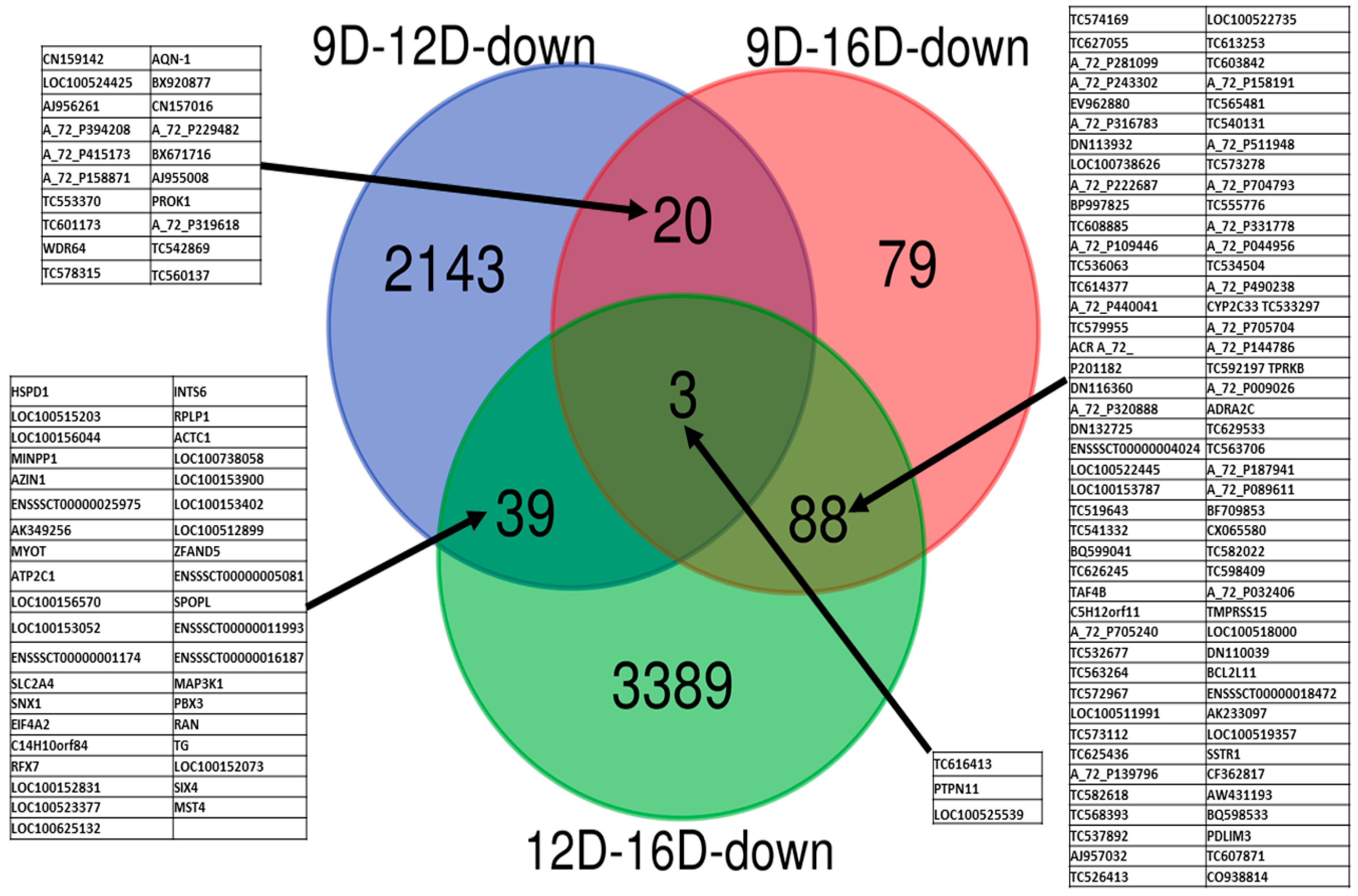 Life 10 00068 g008 Life 10 00068 g008