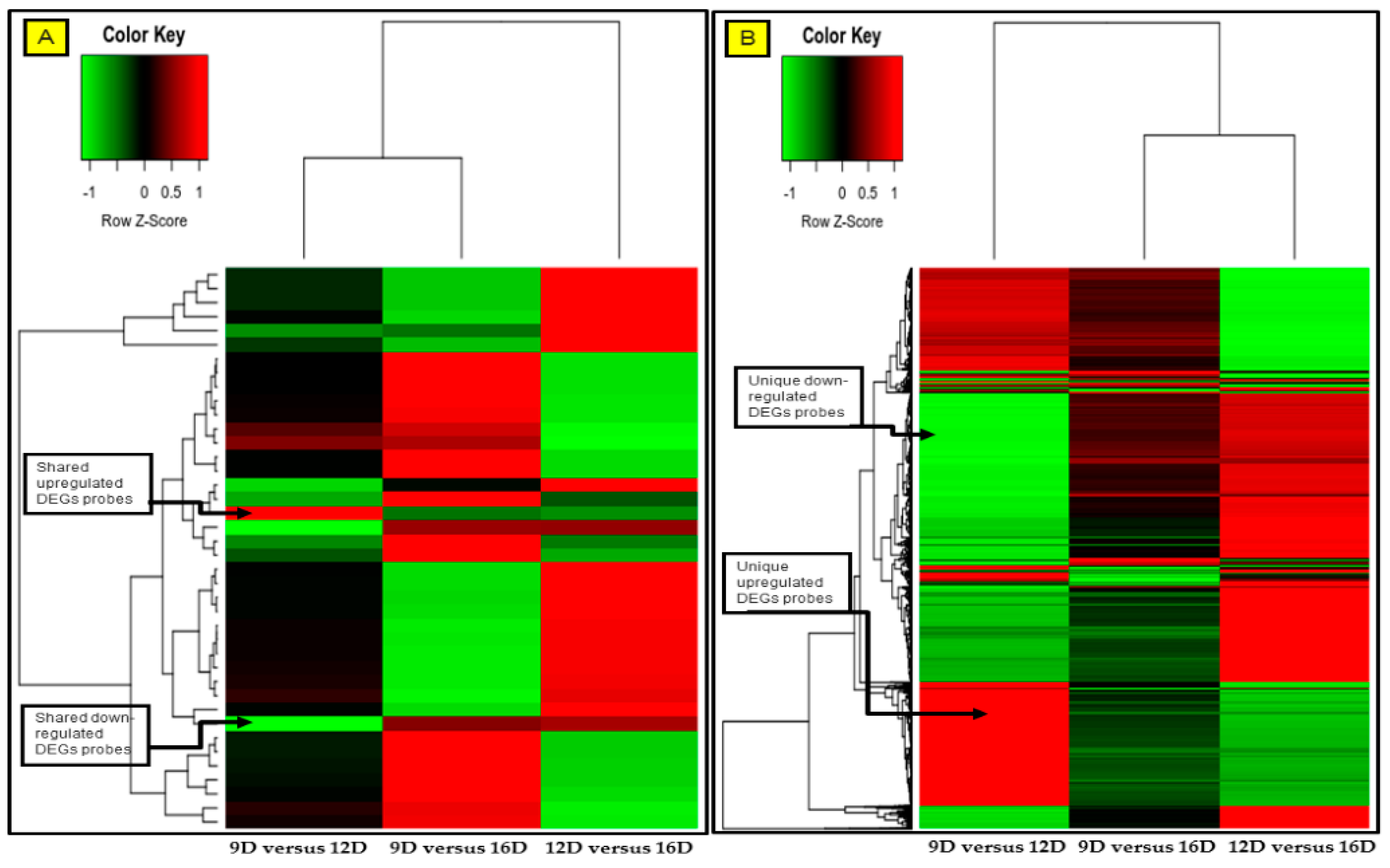 Life 10 00068 g010 Life 10 00068 g010