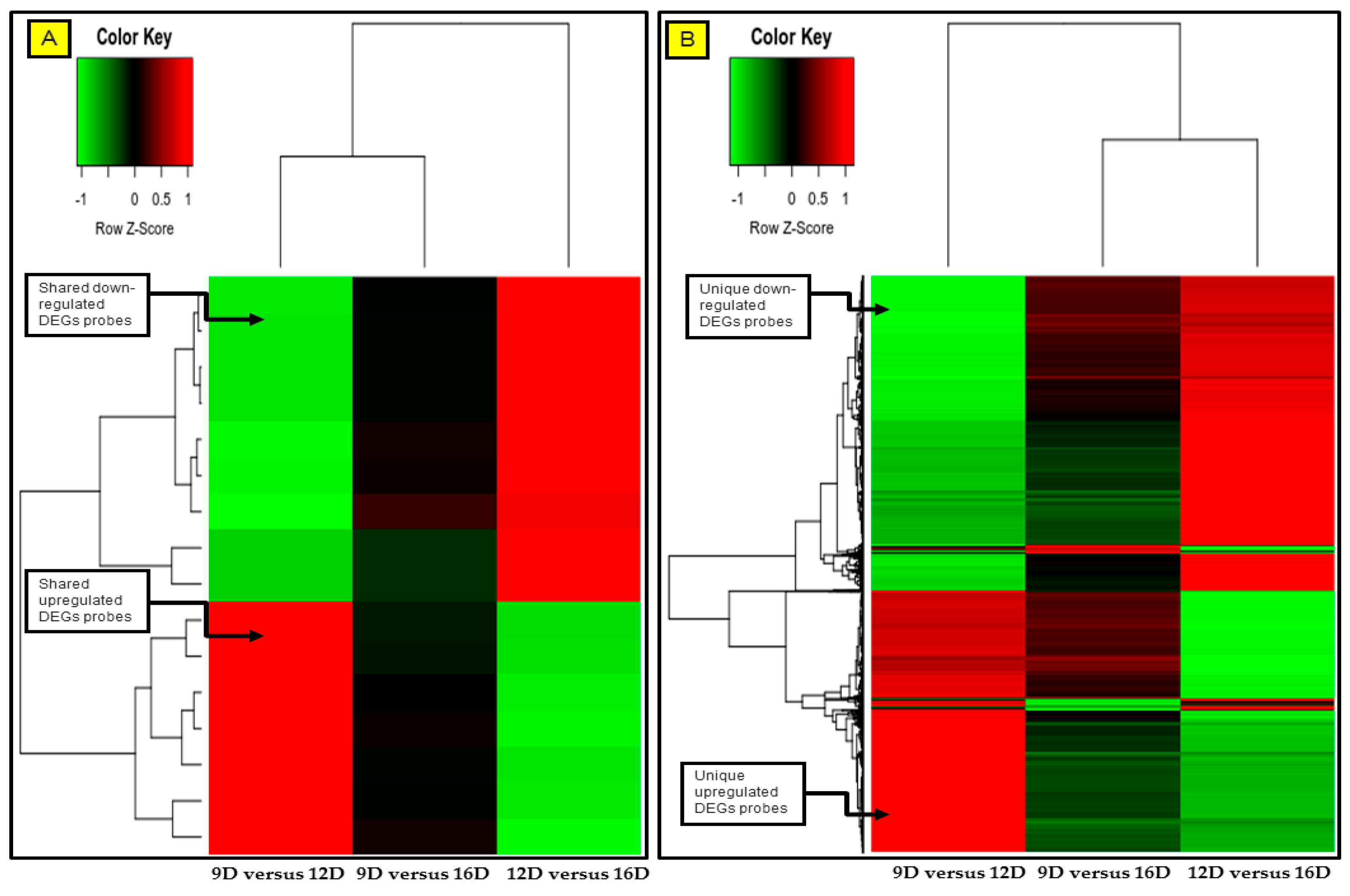 Life 10 00068 g011 Life 10 00068 g011