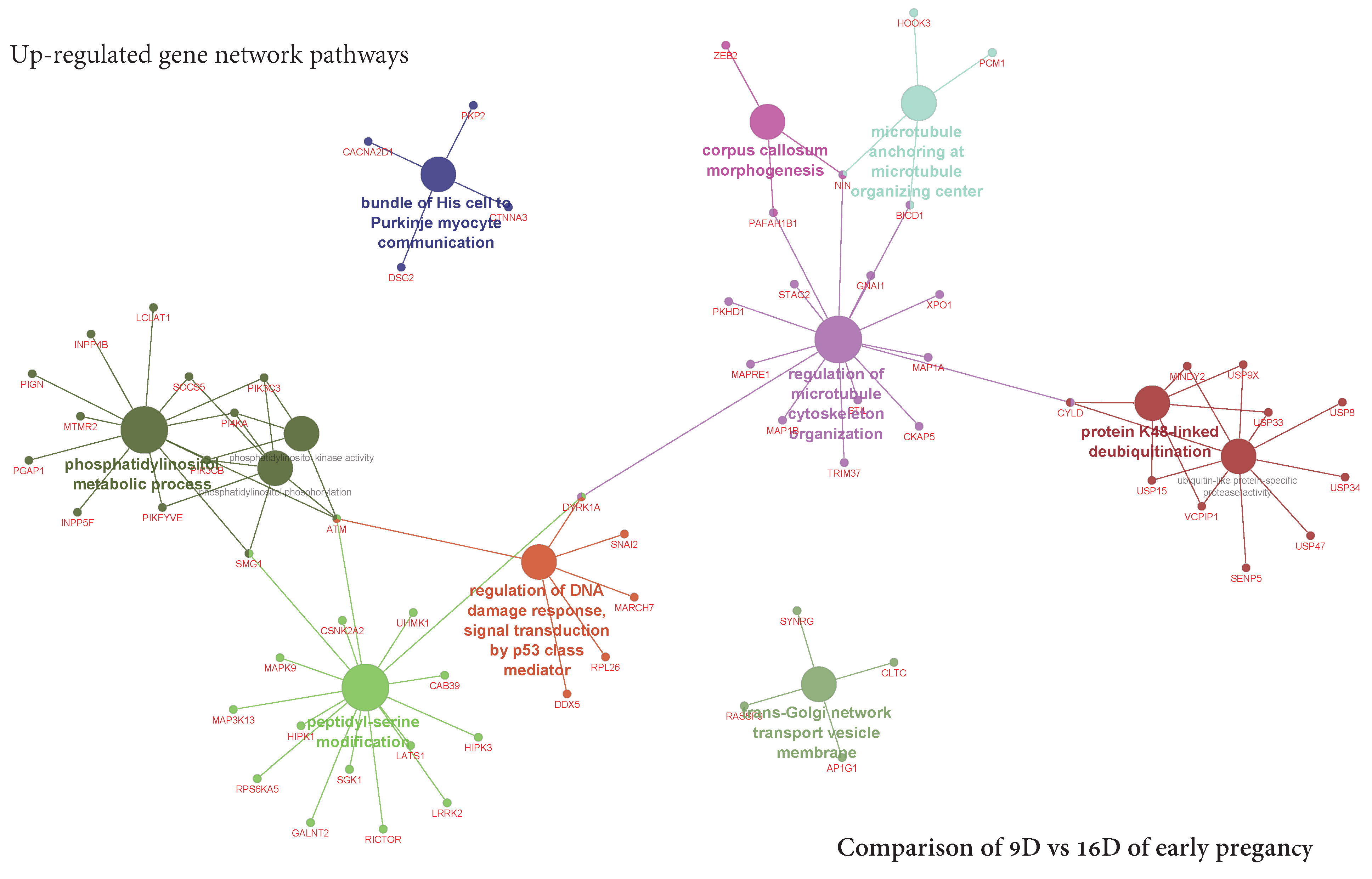 Life 10 00068 g012 Life 10 00068 g012