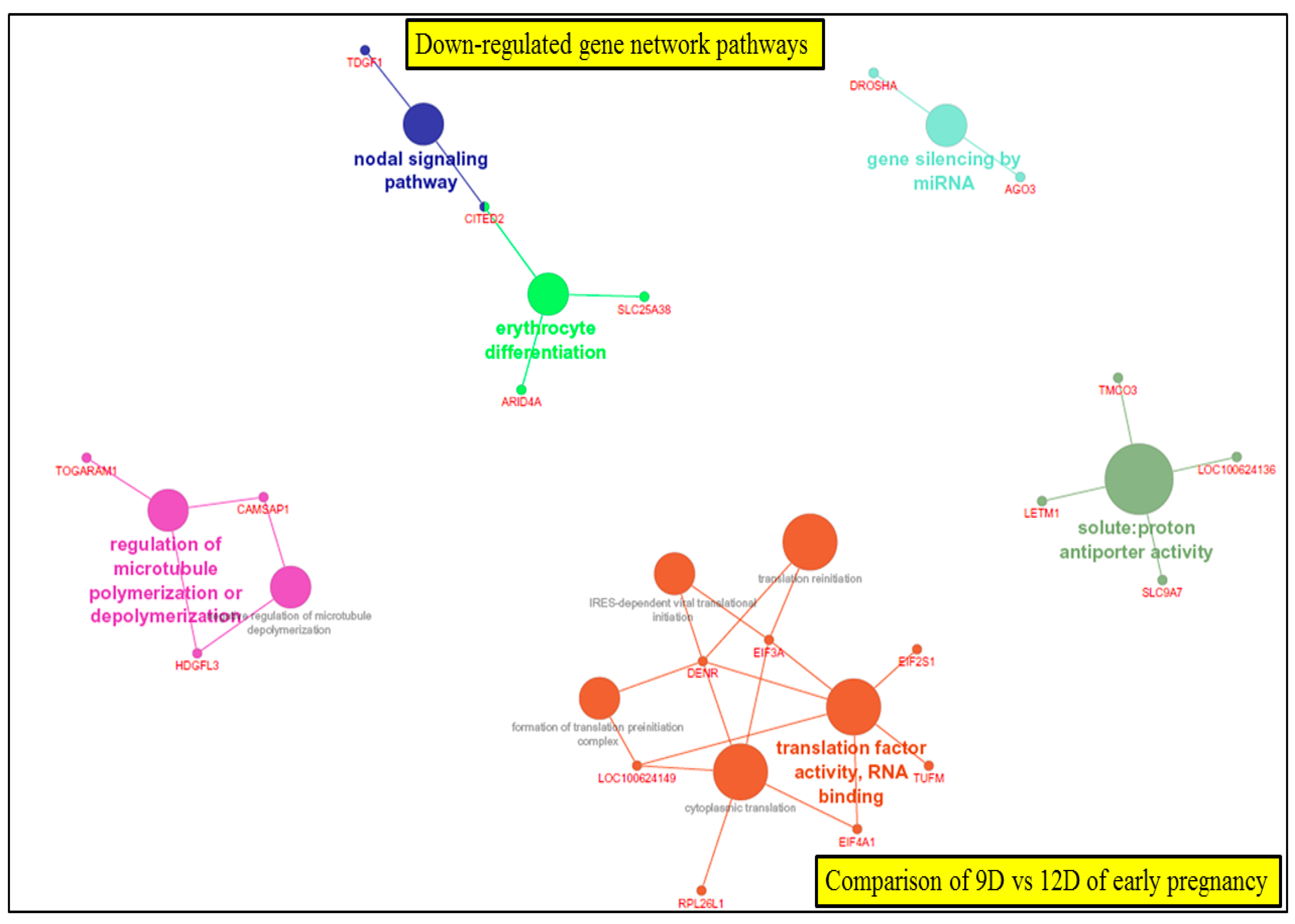 Life 10 00068 g013 Life 10 00068 g013