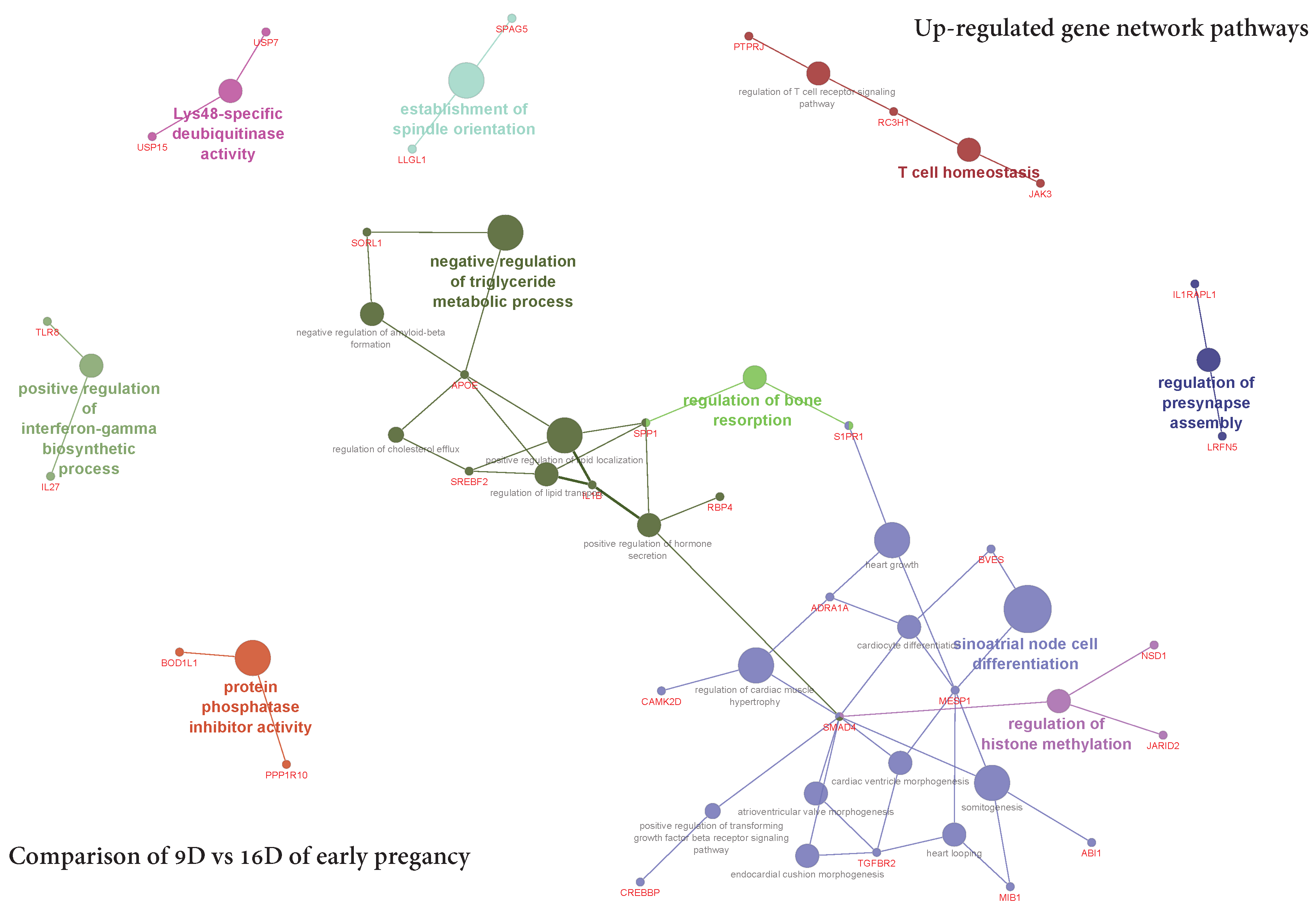 Life 10 00068 g015 Life 10 00068 g015