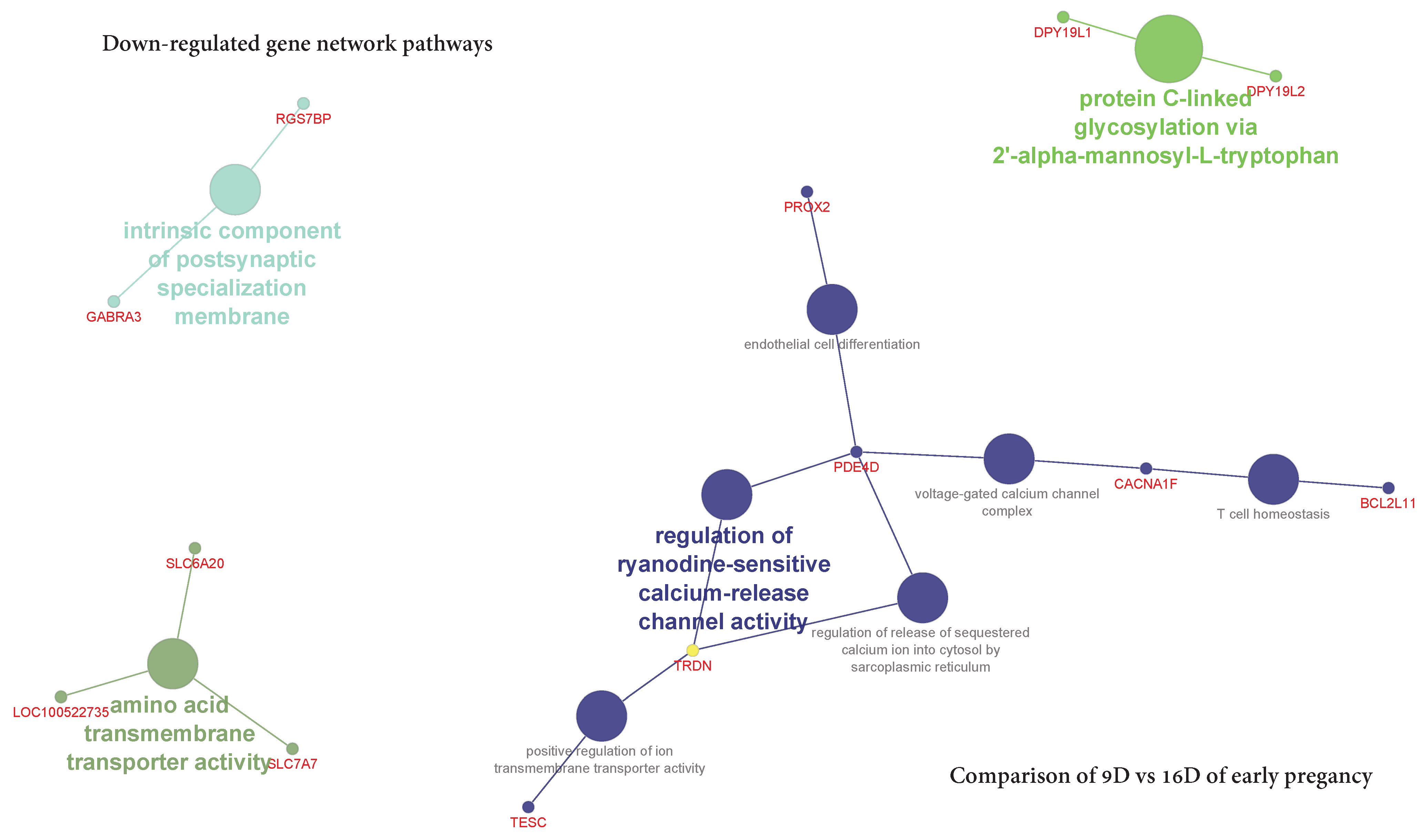 Life 10 00068 g016 Life 10 00068 g016