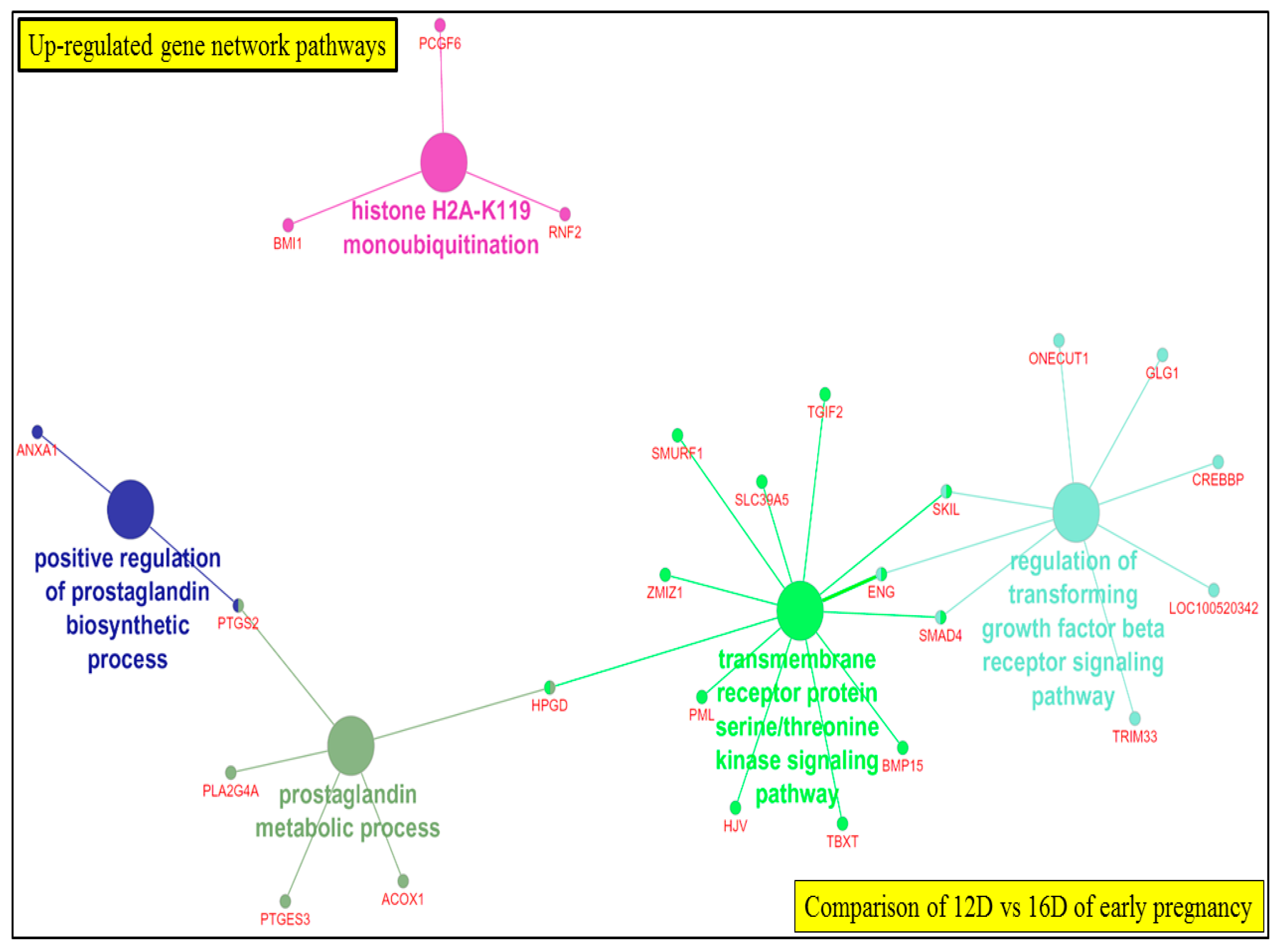 Life 10 00068 g017 Life 10 00068 g017