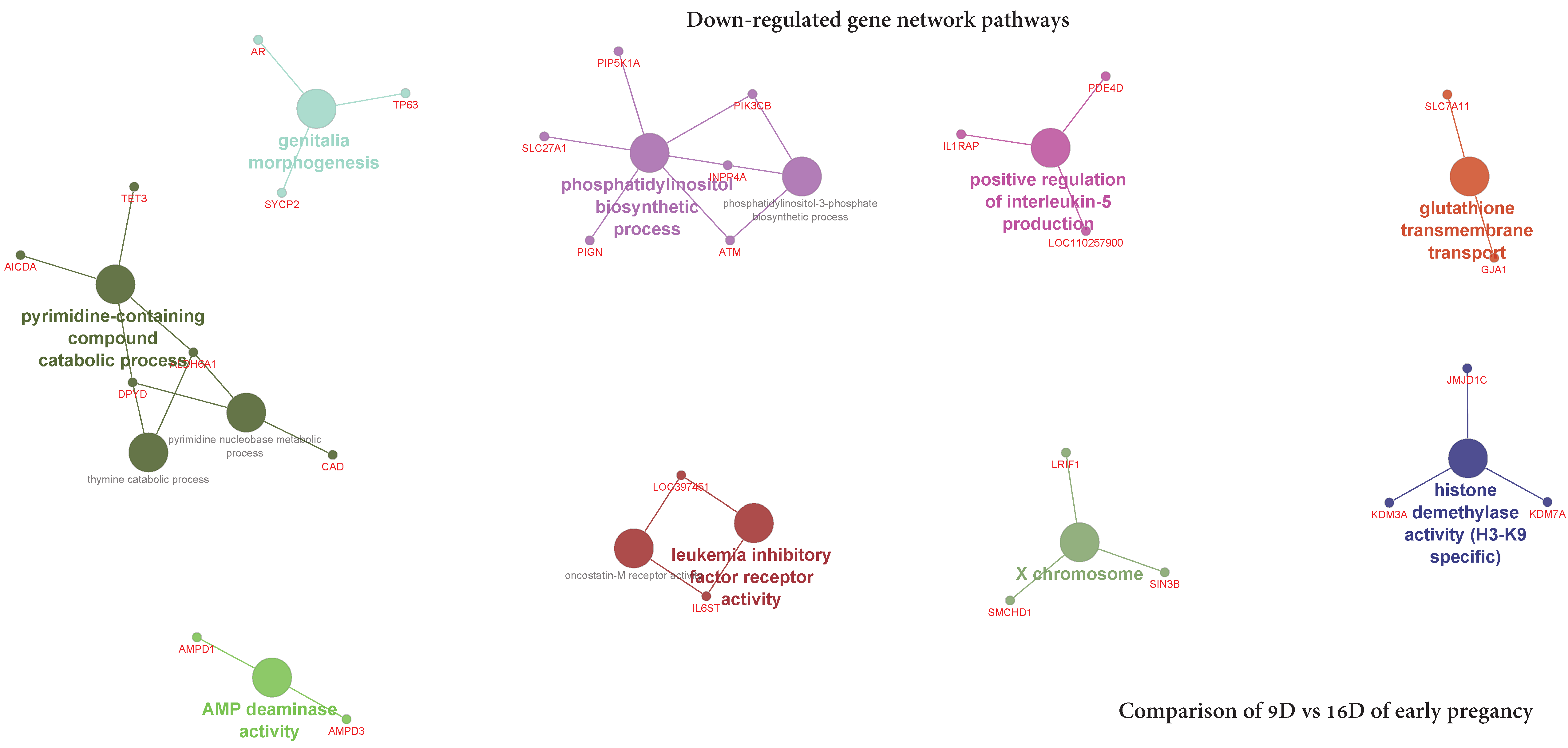Life 10 00068 g018 Life 10 00068 g018
