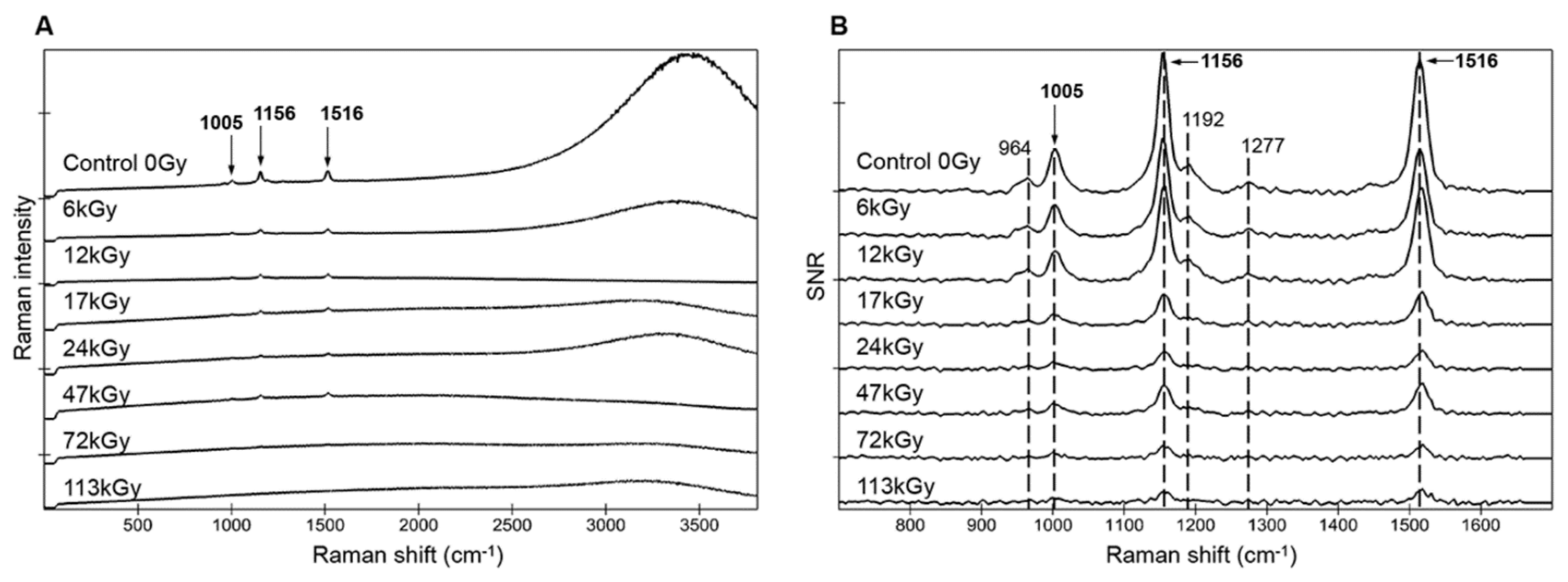 Life 10 00083 g002 Life 10 00083 g002