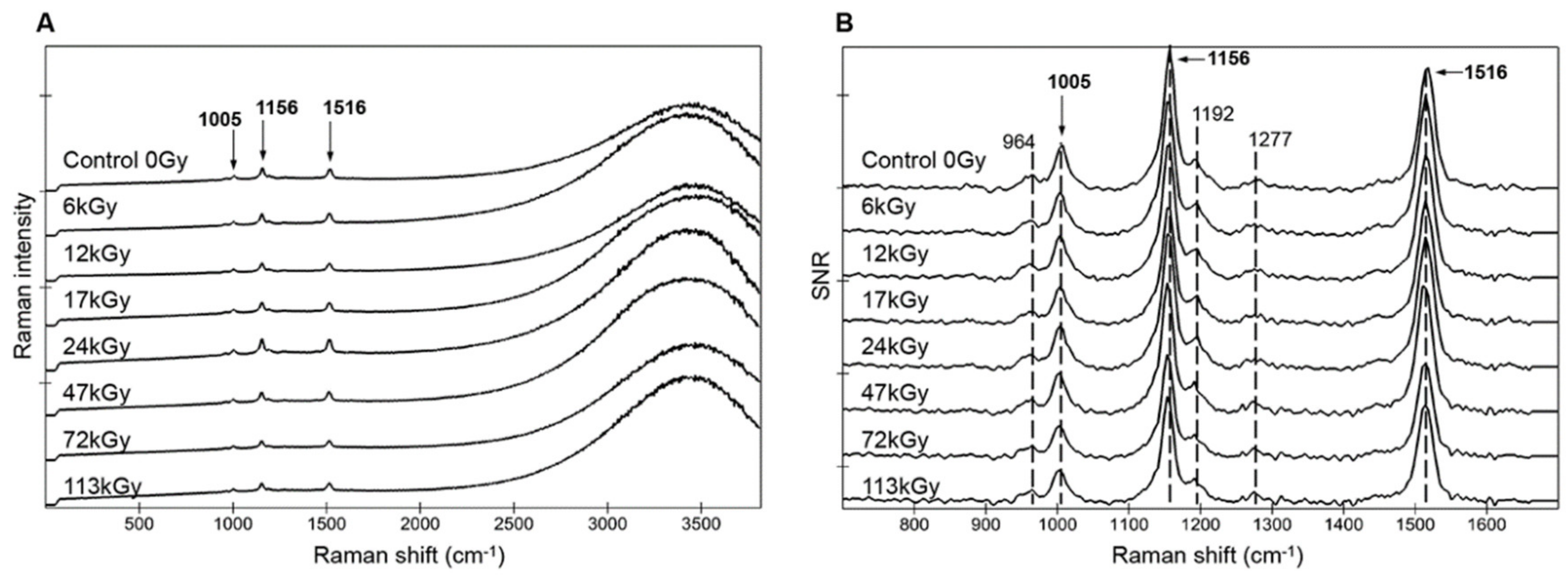 Life 10 00083 g003 Life 10 00083 g003