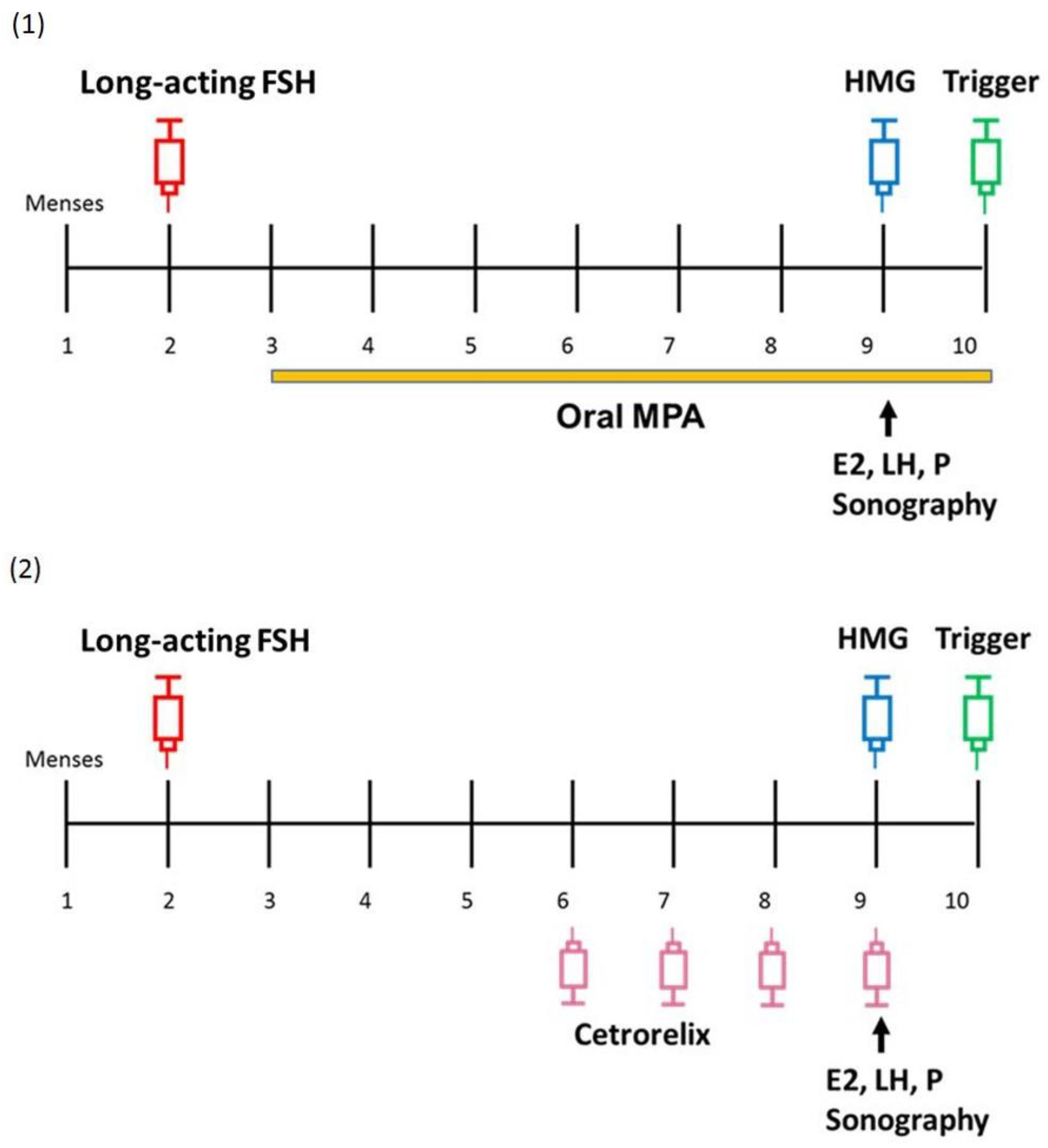 Life 10 00090 g002 Life 10 00090 g002