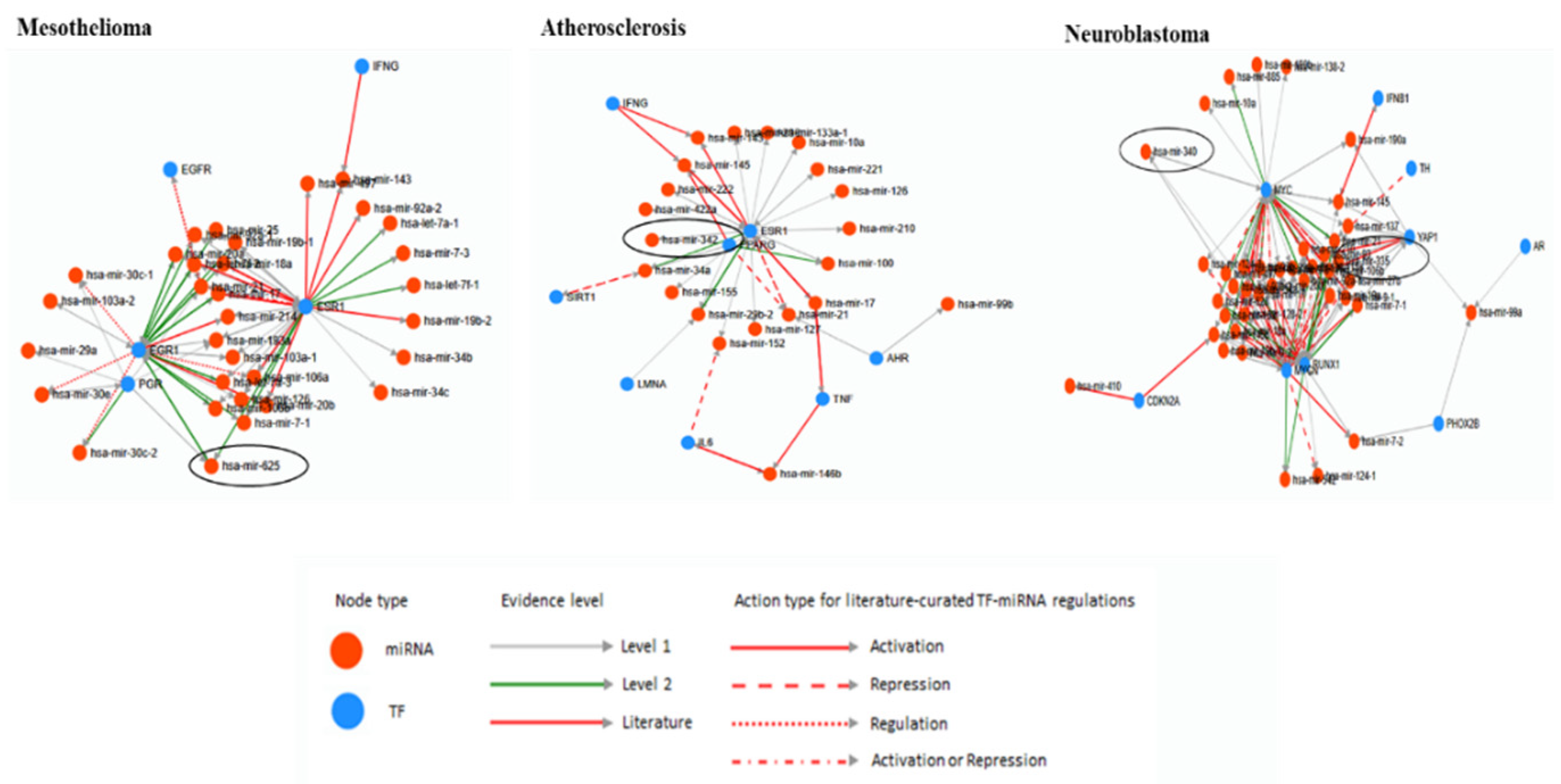 Life 10 00095 g003 Life 10 00095 g003