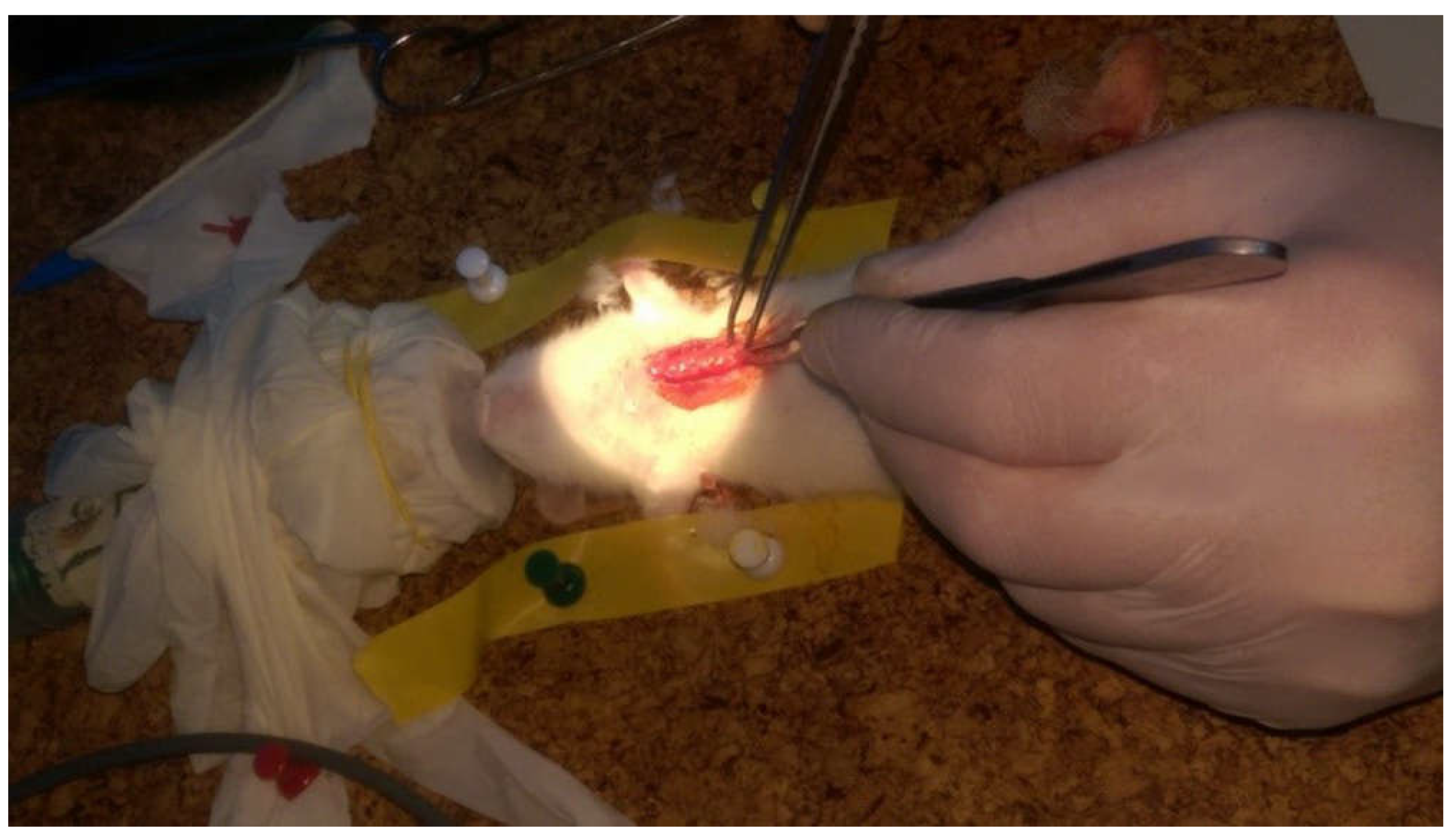 Life 10 00096 g001 Life 10 00096 g001