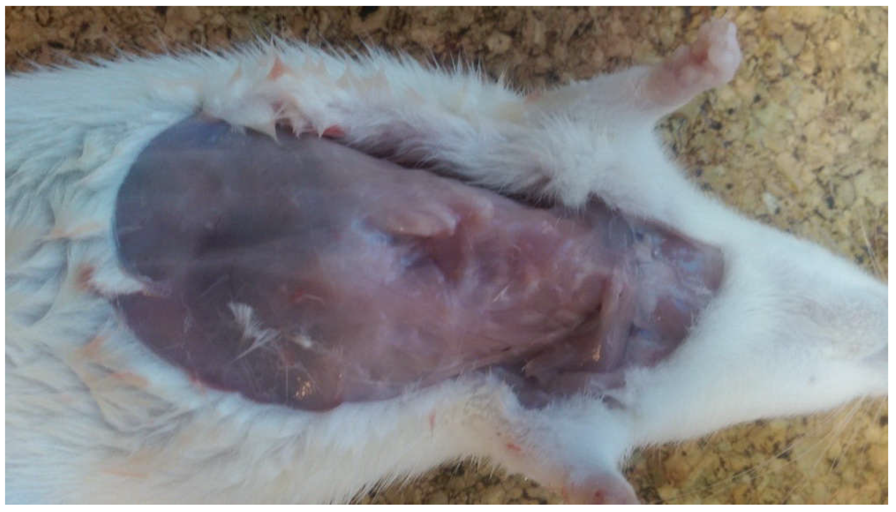 Life 10 00096 g005 Life 10 00096 g005