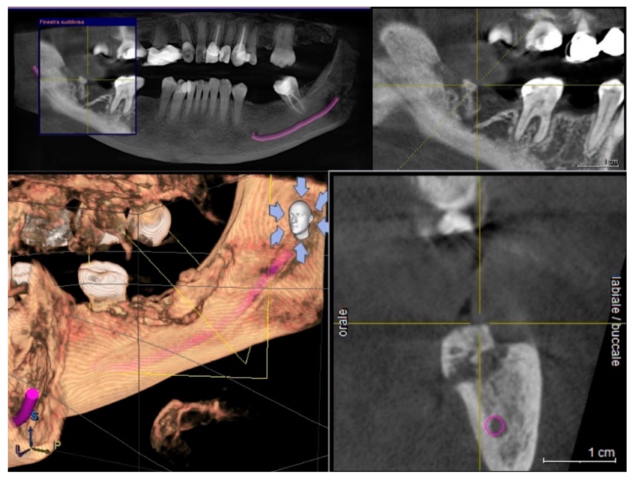 Life 10 00099 g001 Life 10 00099 g001