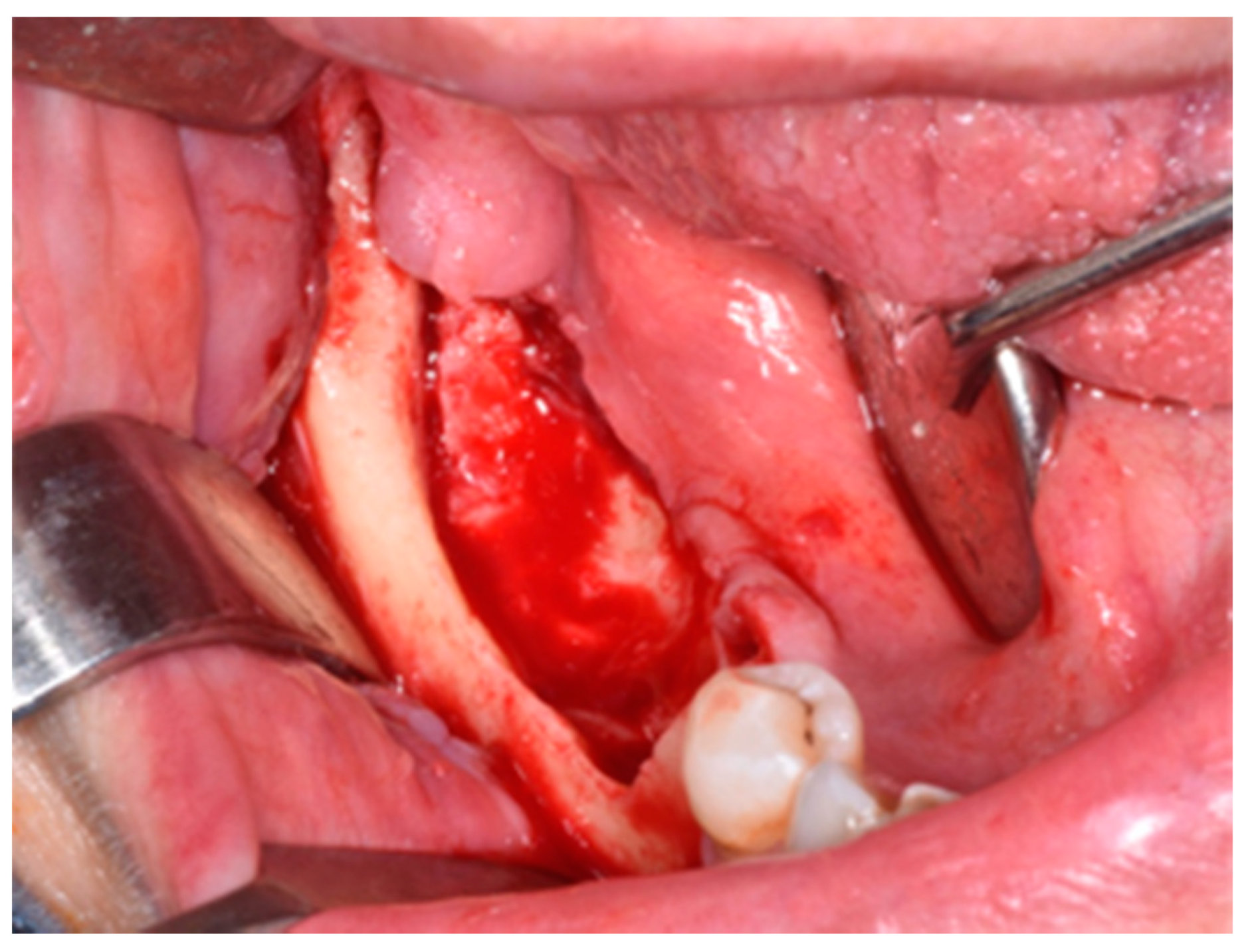 Life 10 00099 g004 Life 10 00099 g004