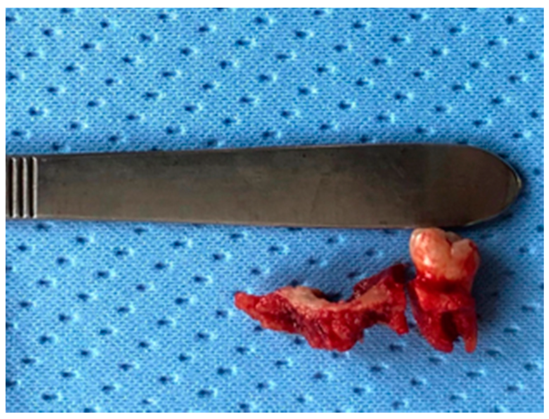 Life 10 00099 g005 Life 10 00099 g005