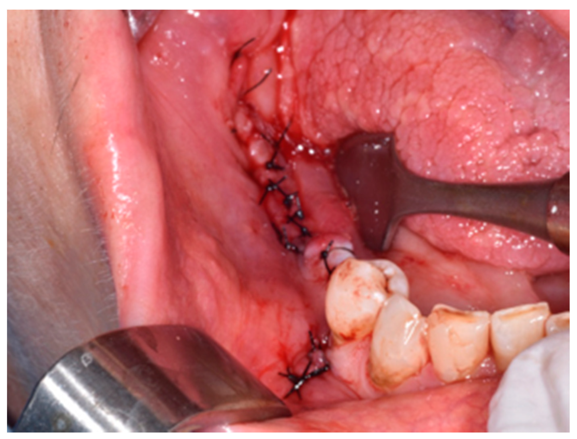 Life 10 00099 g006 Life 10 00099 g006