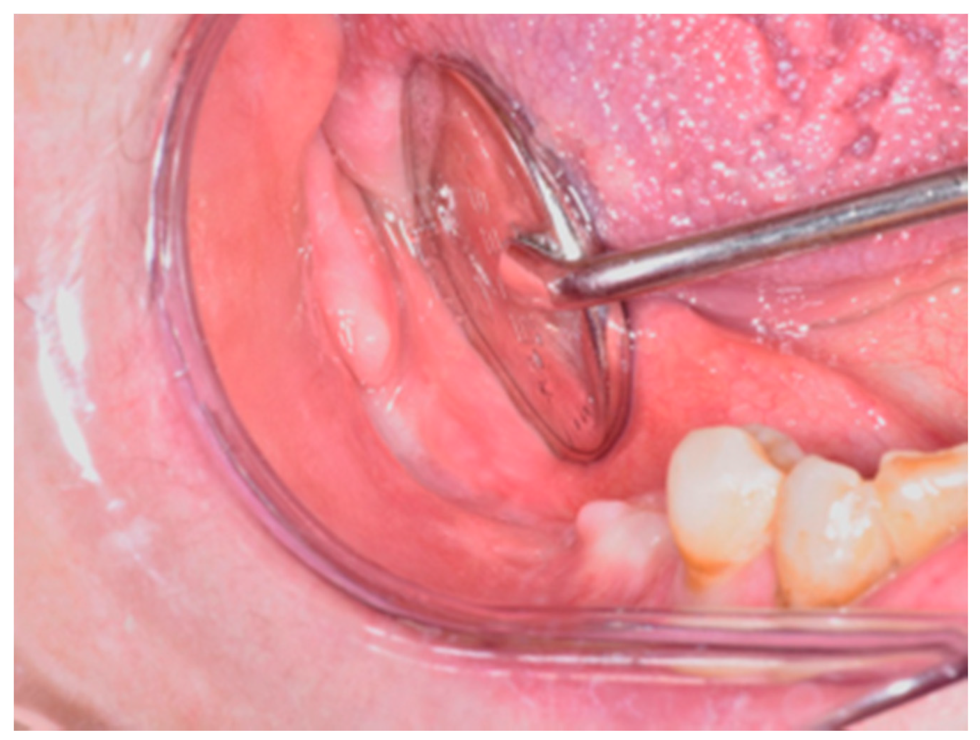 Life 10 00099 g007 Life 10 00099 g007