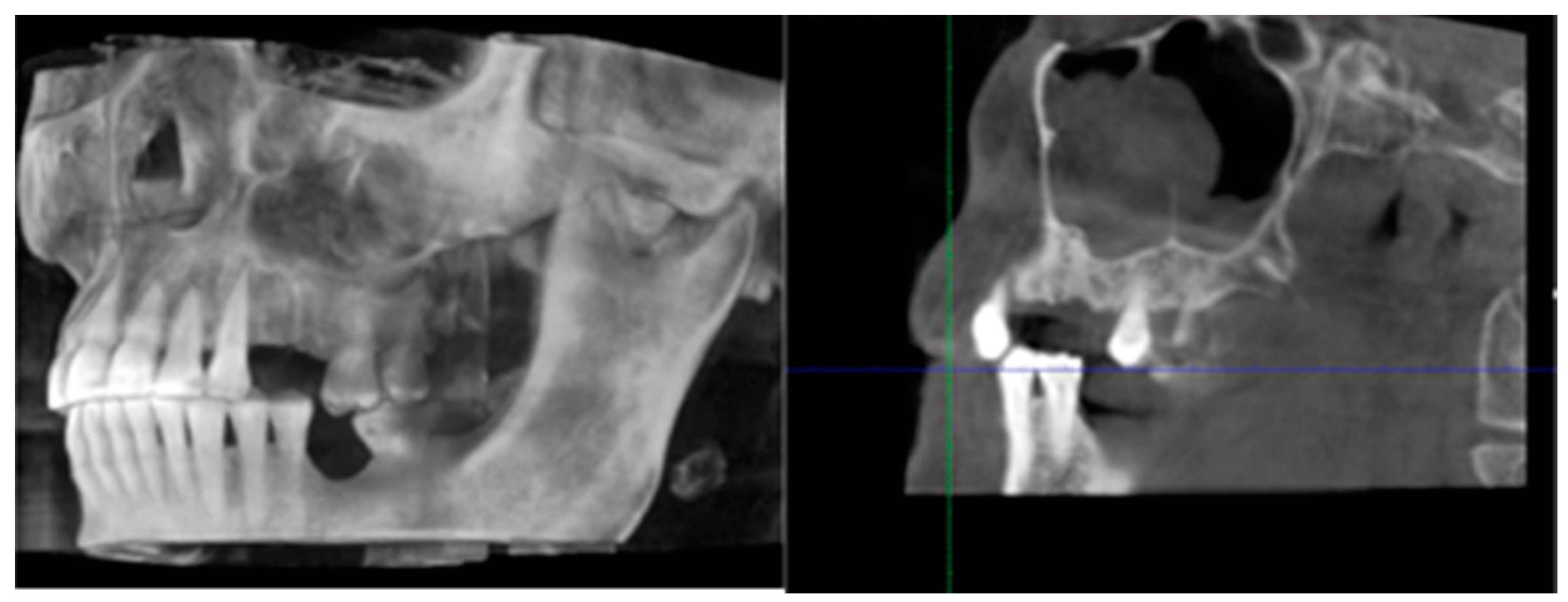 Life 10 00099 g008 Life 10 00099 g008