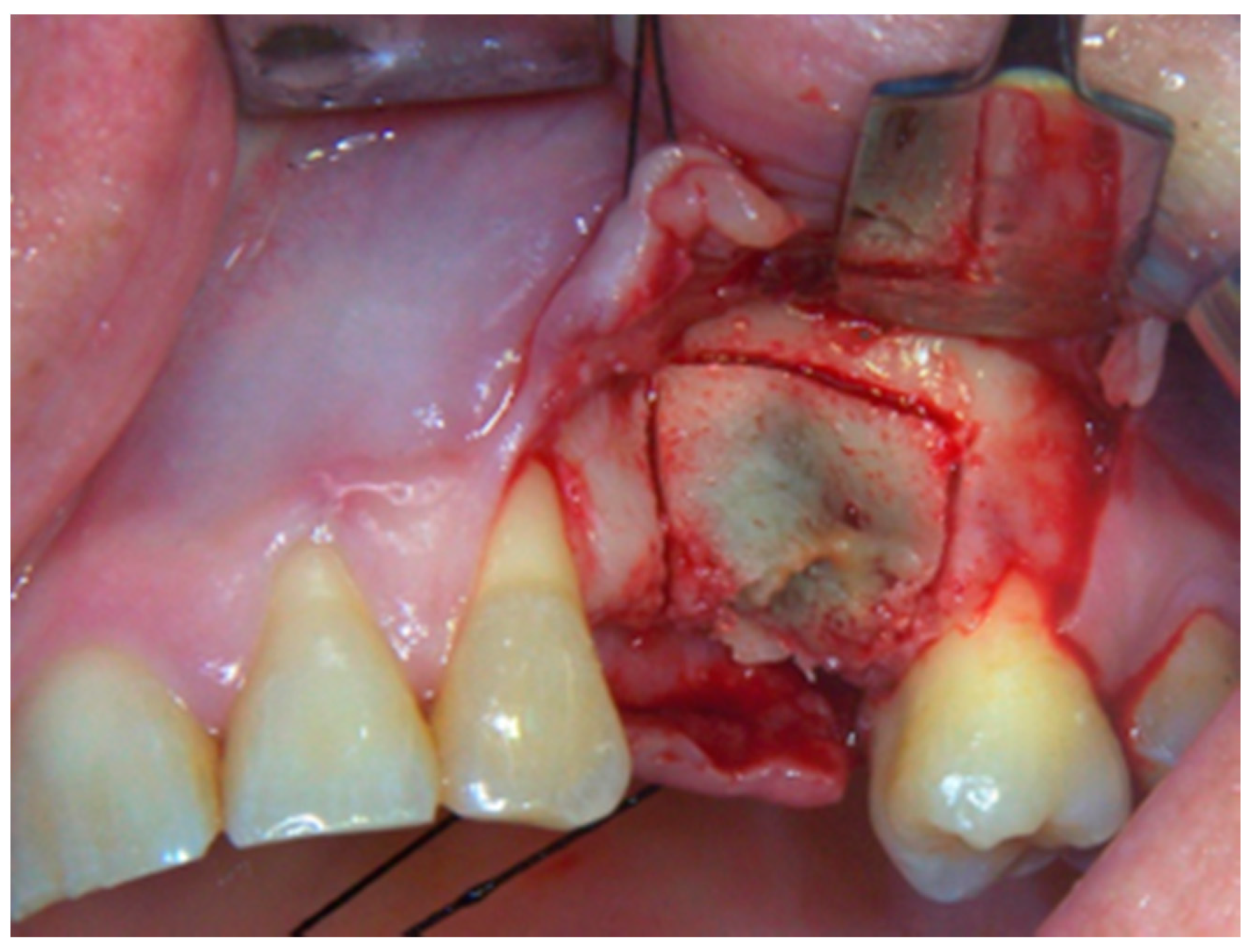 Life 10 00099 g010 Life 10 00099 g010