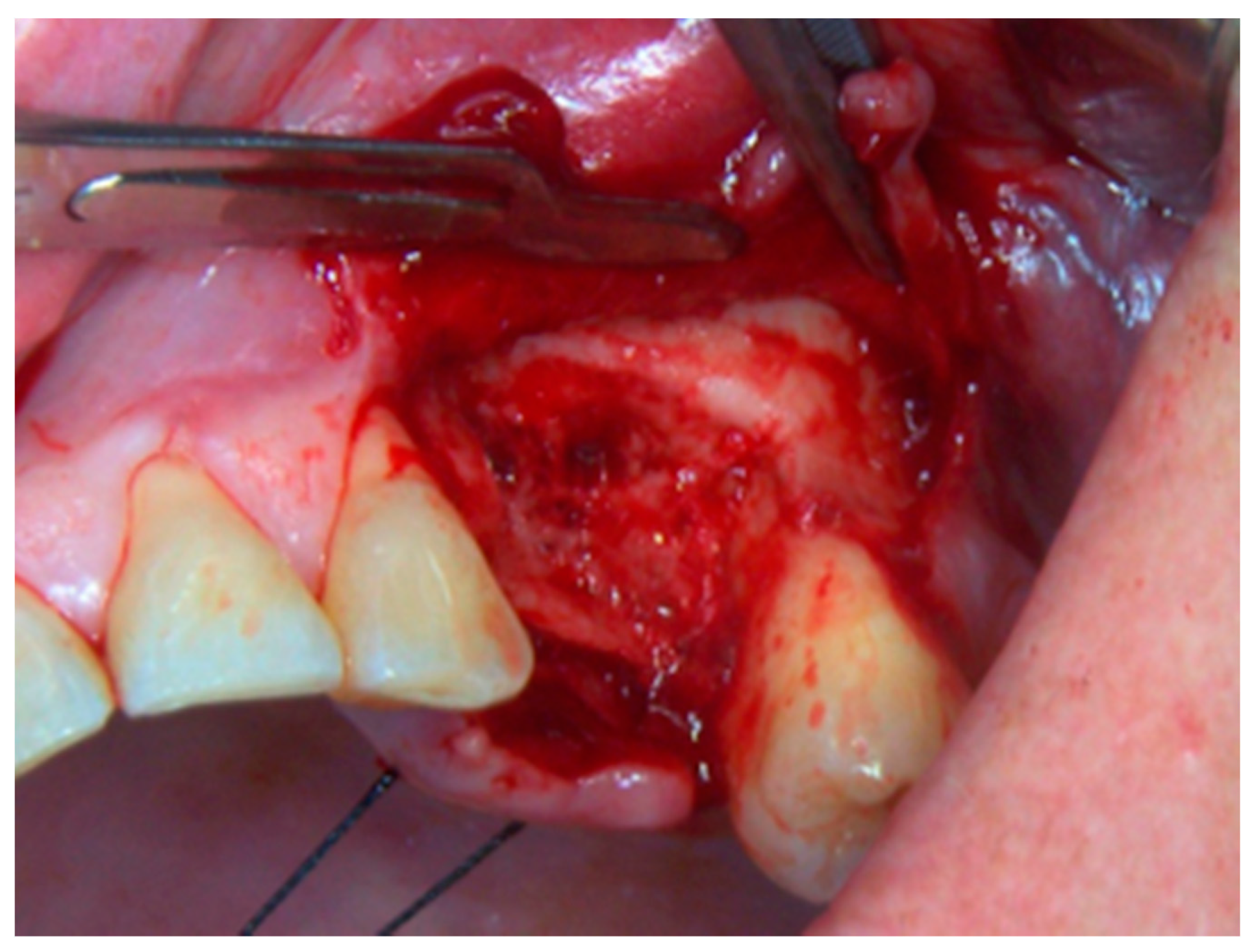 Life 10 00099 g011 Life 10 00099 g011