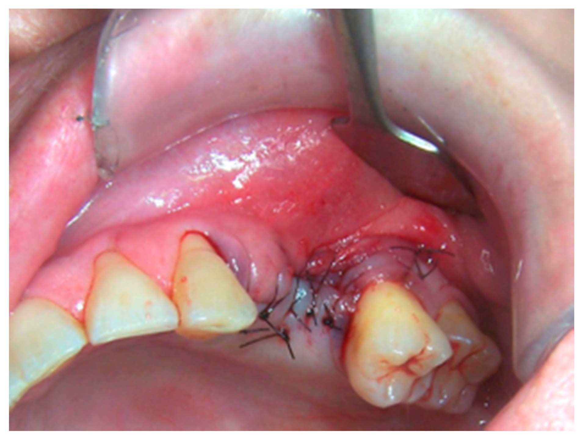 Life 10 00099 g013 Life 10 00099 g013