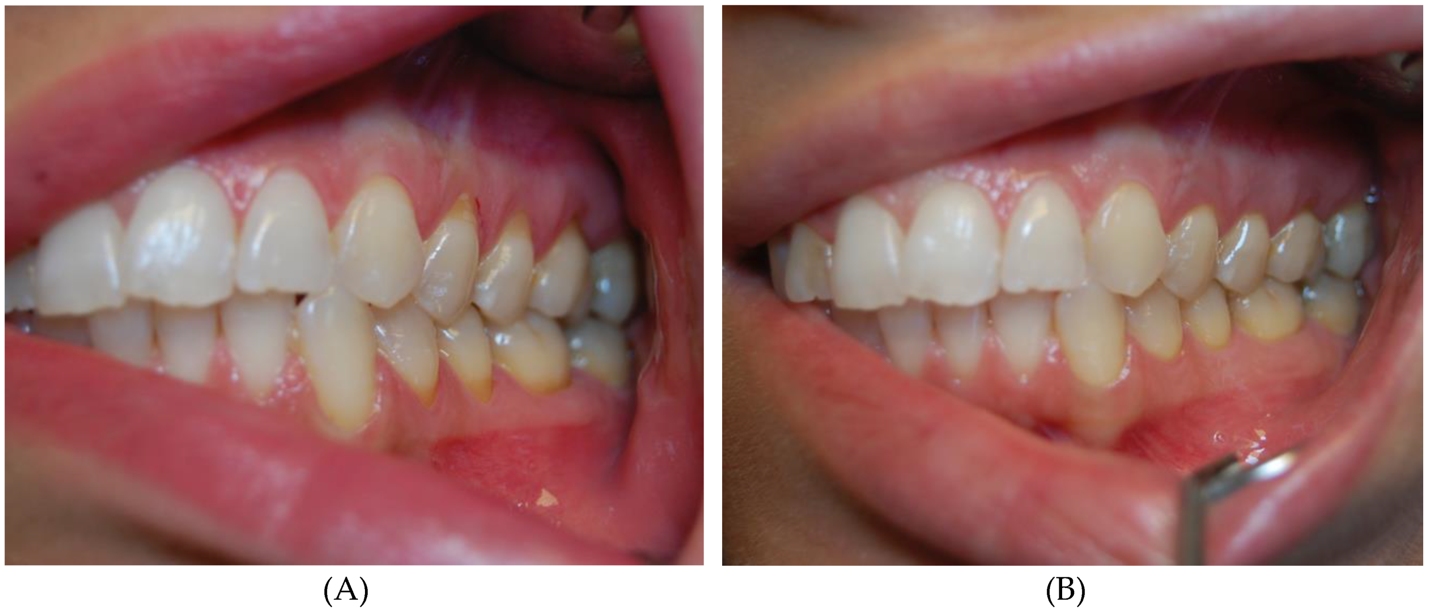 Life 10 00114 g002 Life 10 00114 g002