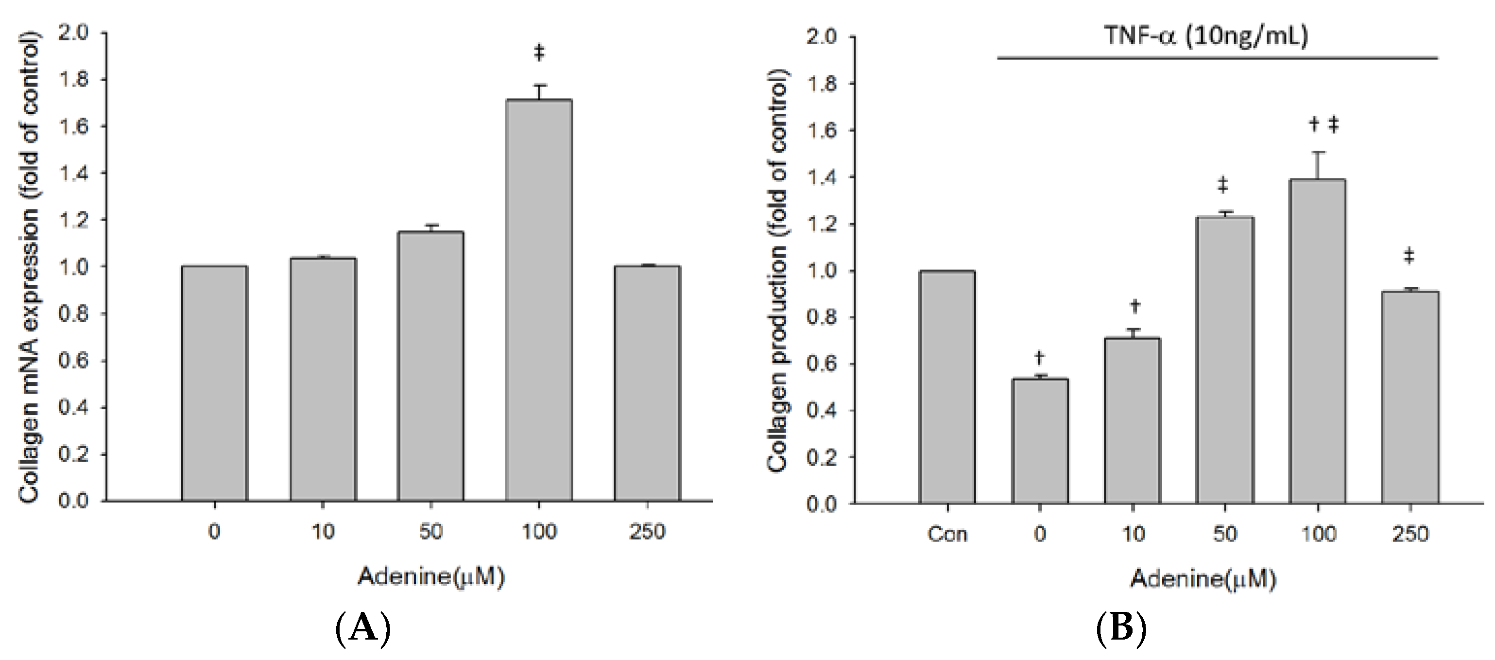 Anti-Inflammatory Effects of Adenine Enhance Osteogenesis in Anti-Inflammatory Effects of Adenine Enhance Osteogenesis in