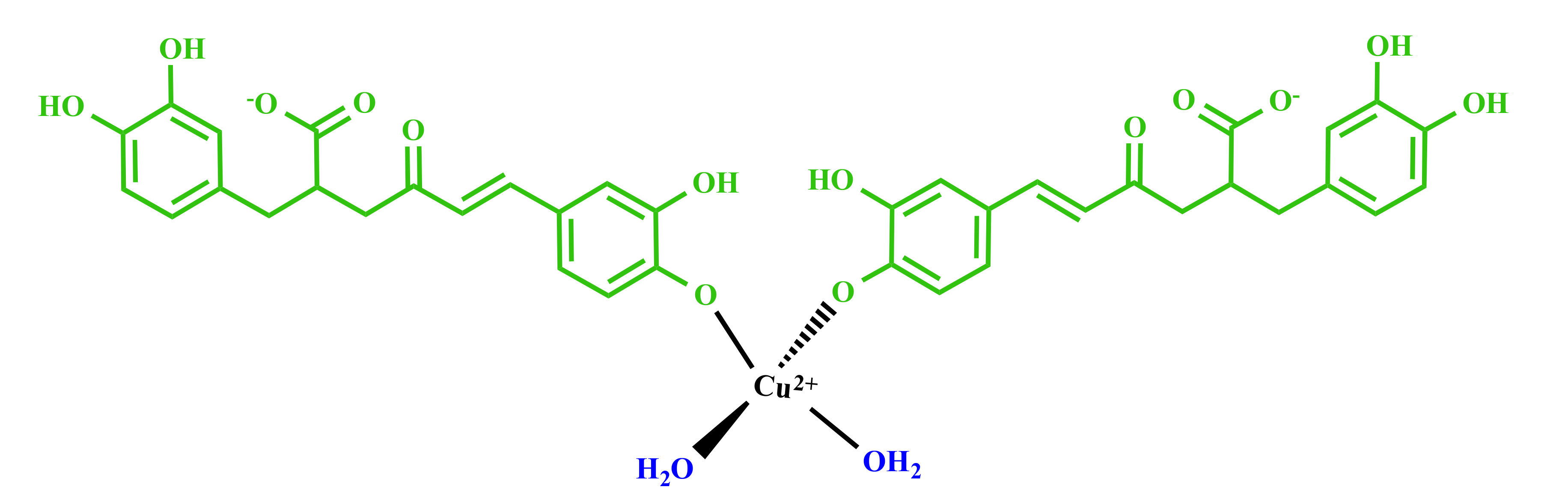 Life 10 00118 g003 Life 10 00118 g003