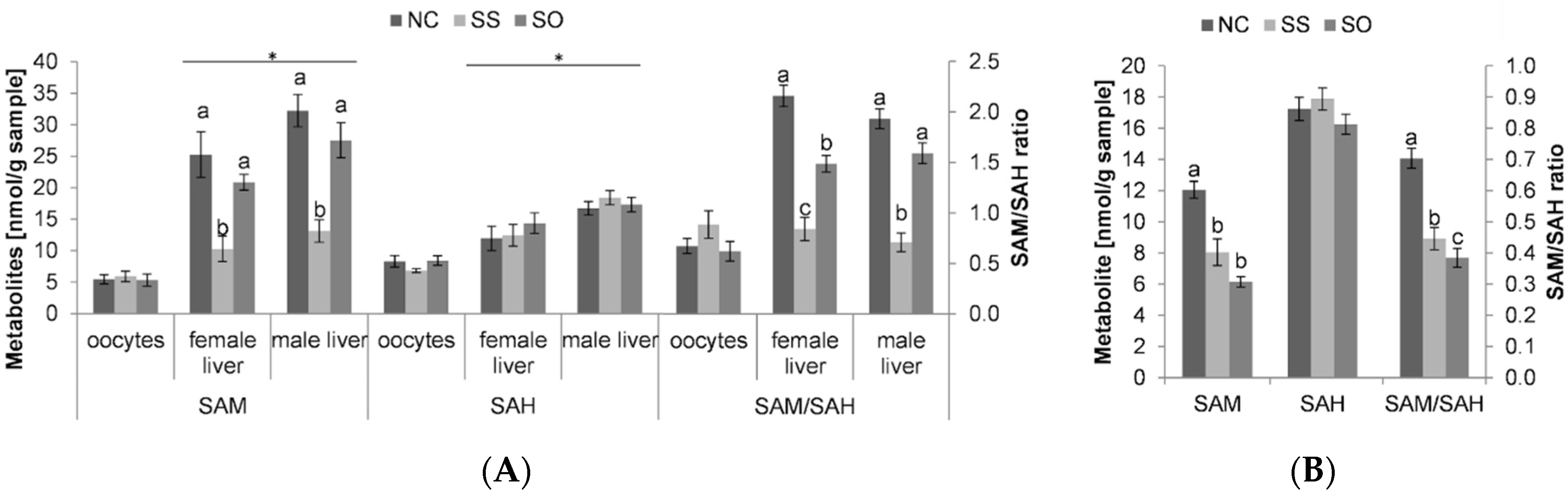 Life 10 00121 g002 Life 10 00121 g002