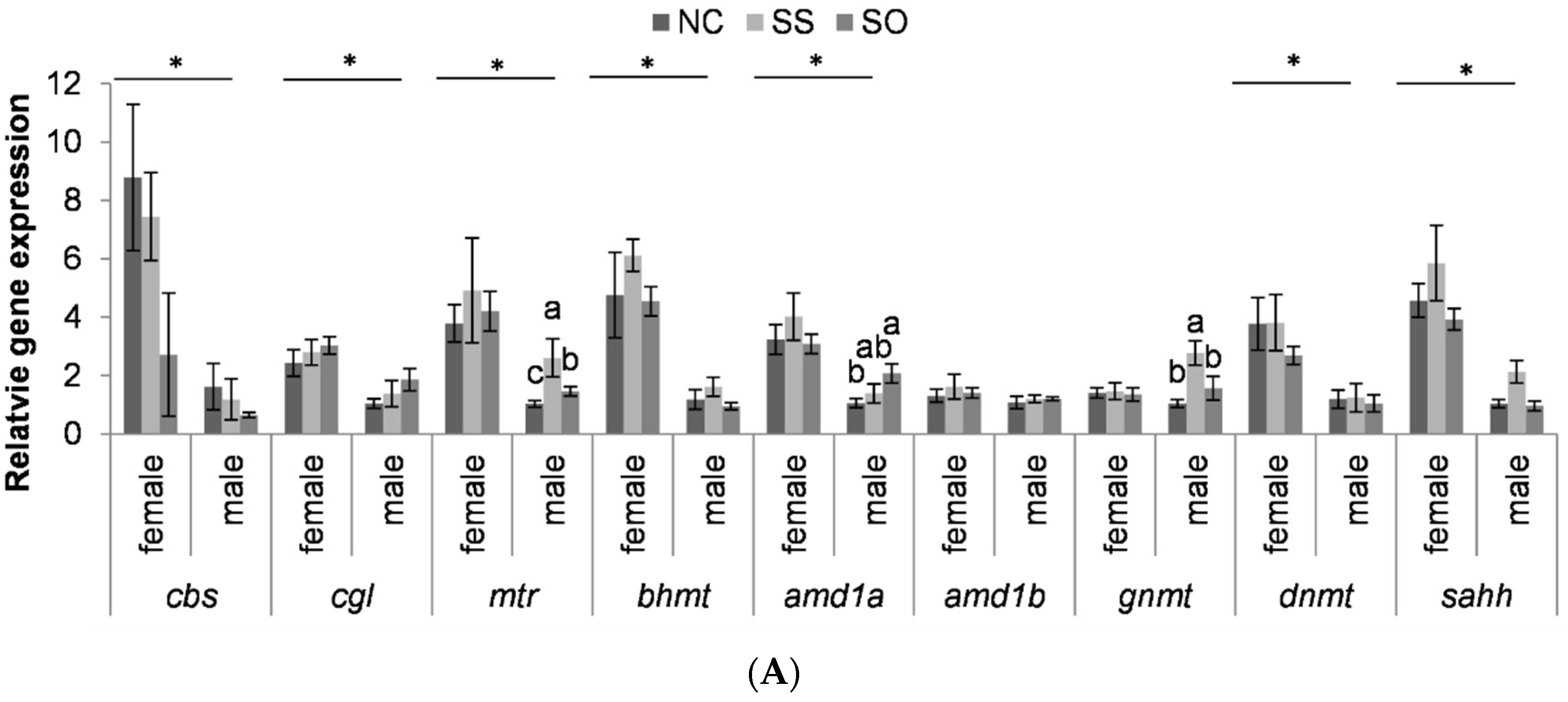 Life 10 00121 g003a Life 10 00121 g003a