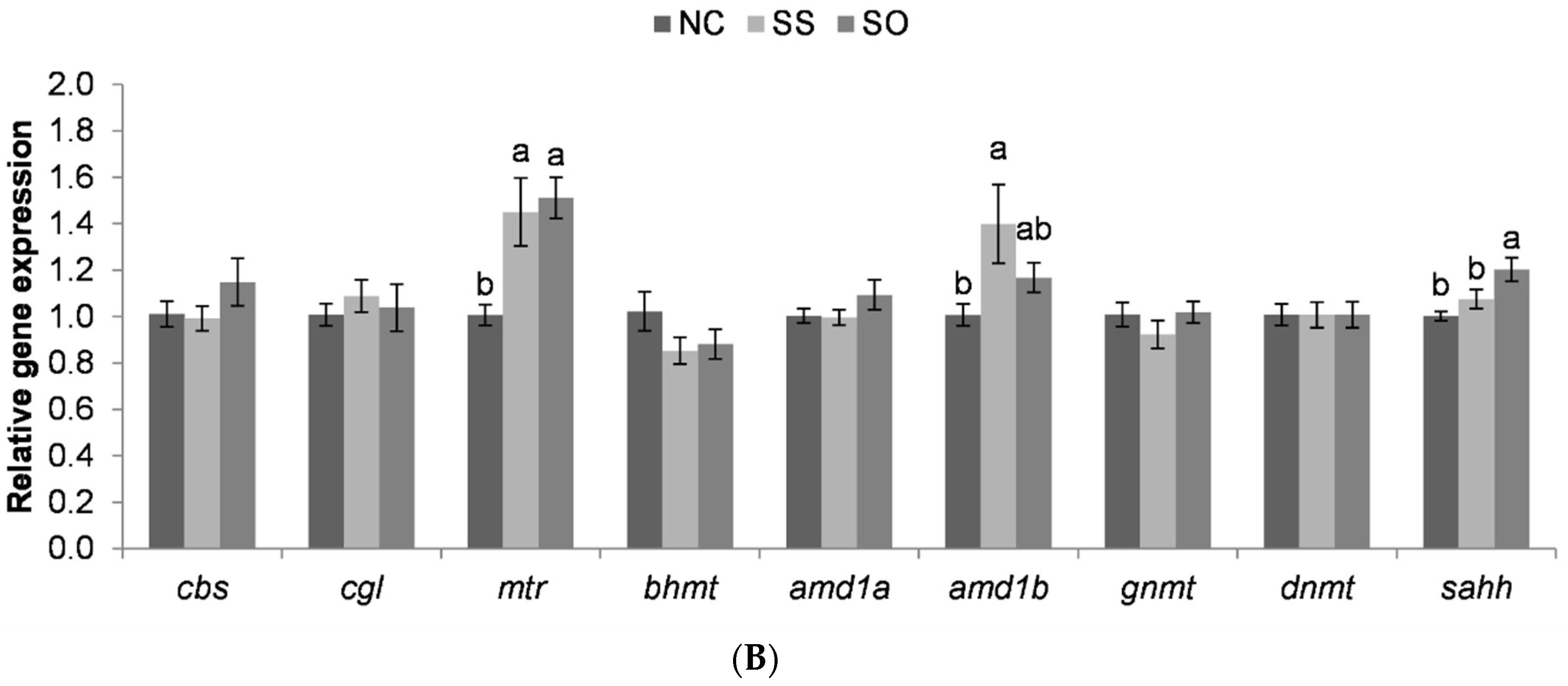 Life 10 00121 g003b Life 10 00121 g003b