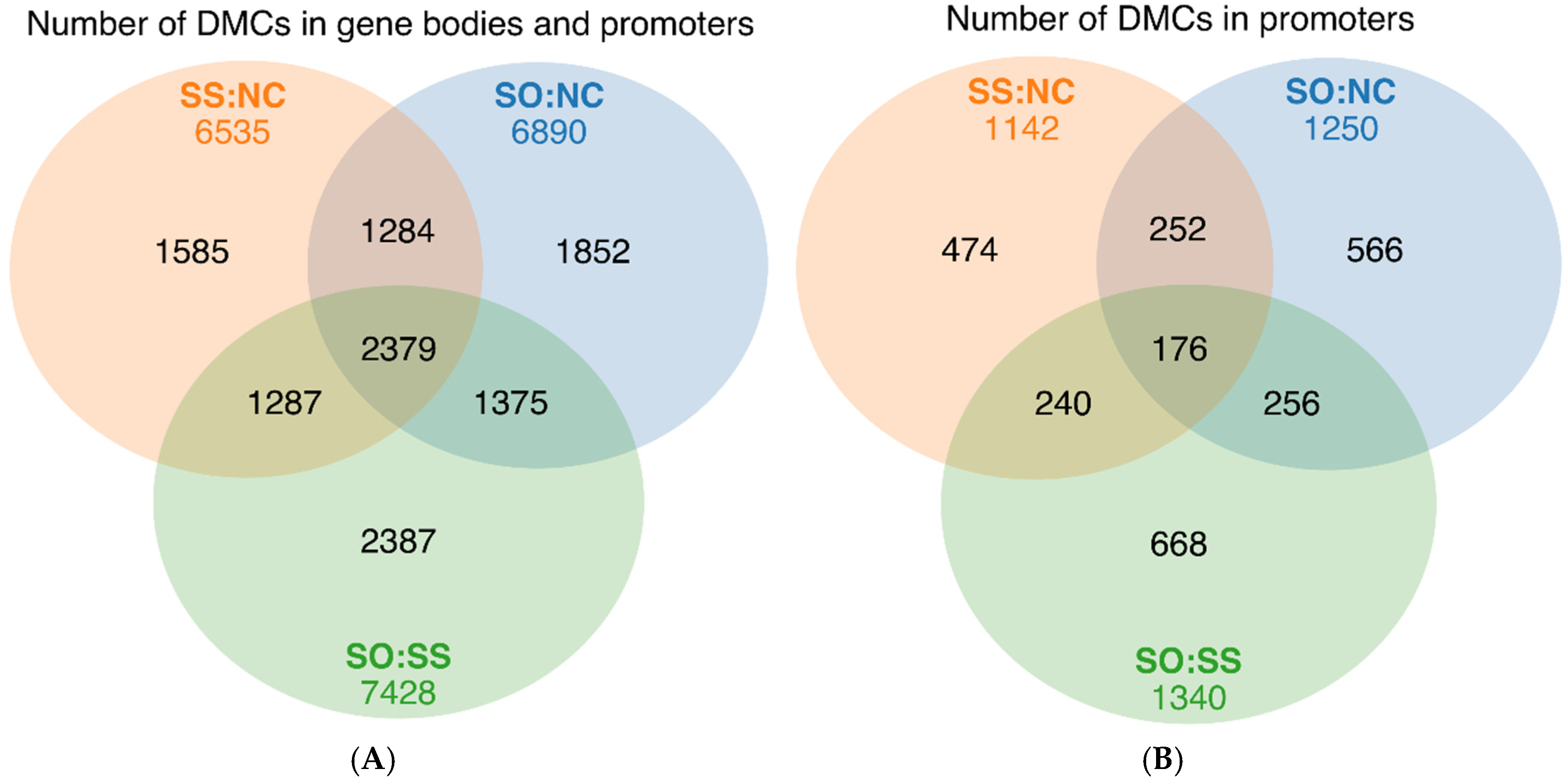 Life 10 00121 g006 Life 10 00121 g006
