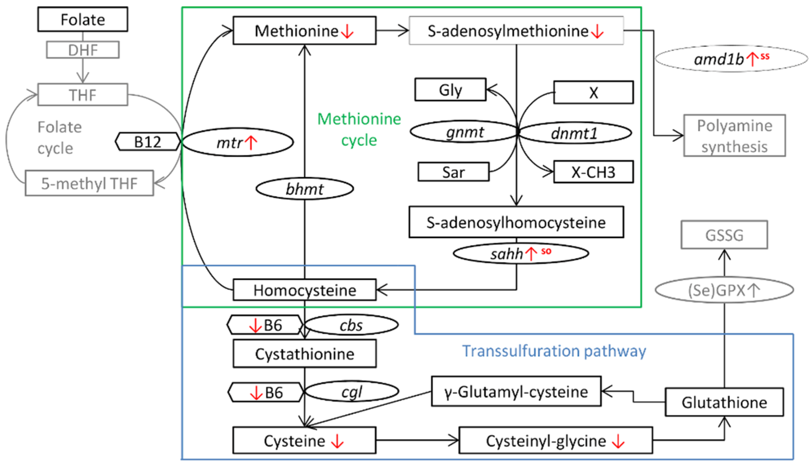 Life 10 00121 g007 Life 10 00121 g007