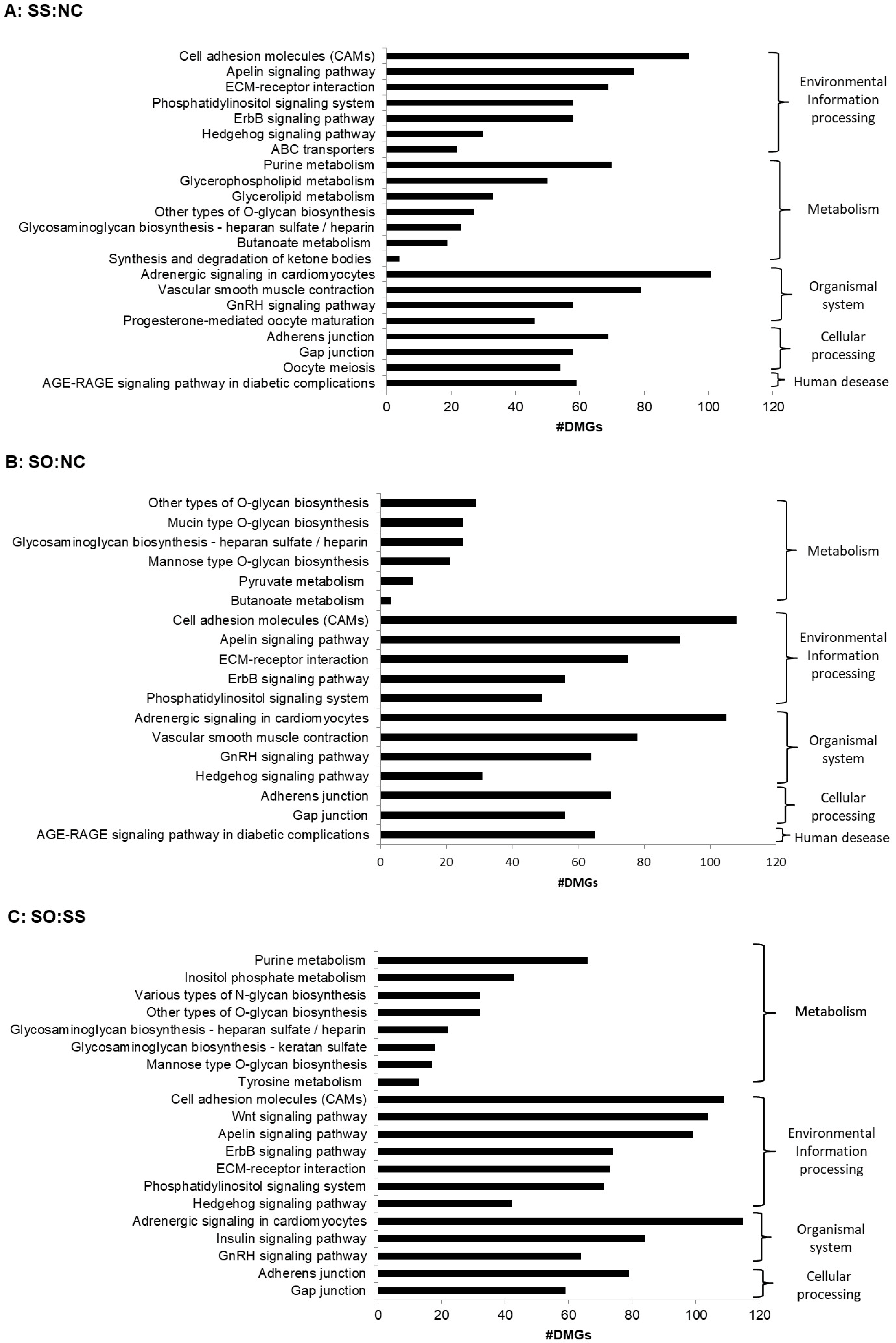 Life 10 00121 g0a2 Life 10 00121 g0a2