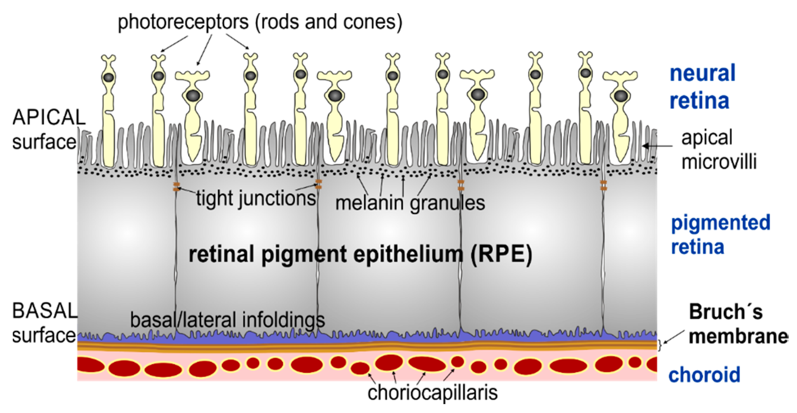 Life 10 00128 g001 Life 10 00128 g001