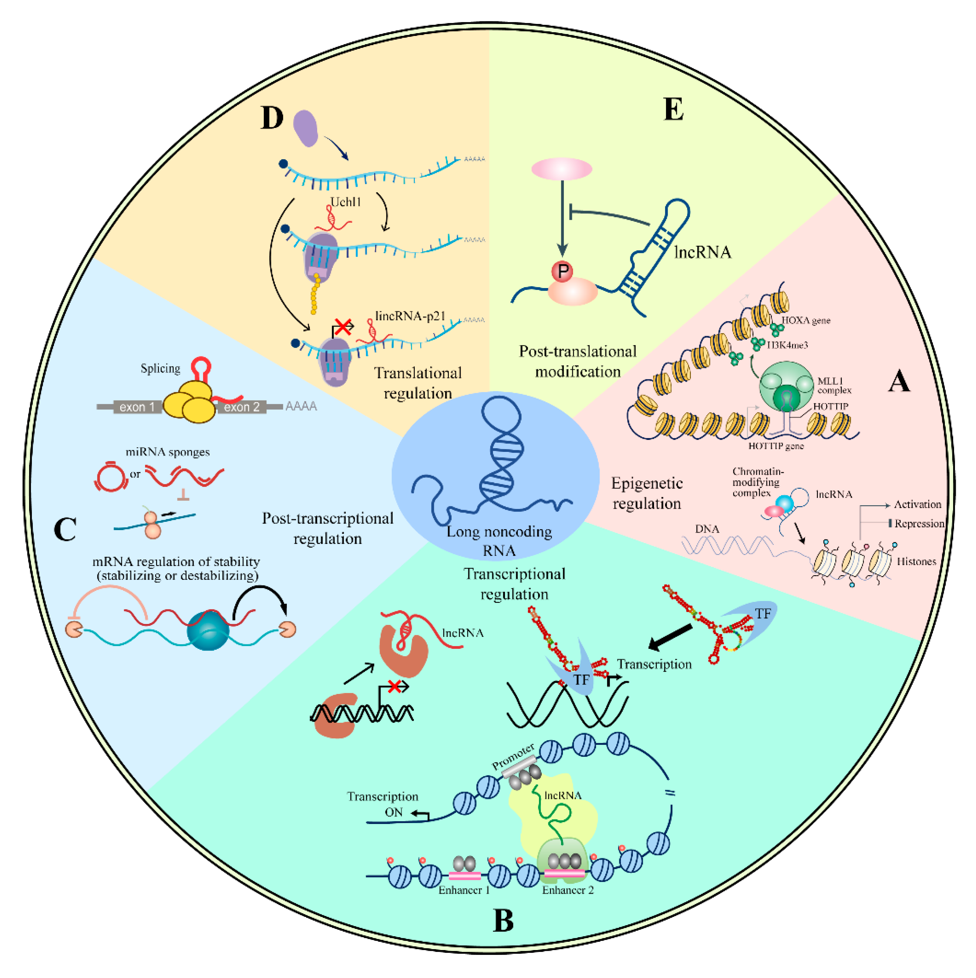 Life 10 00131 g001 Life 10 00131 g001