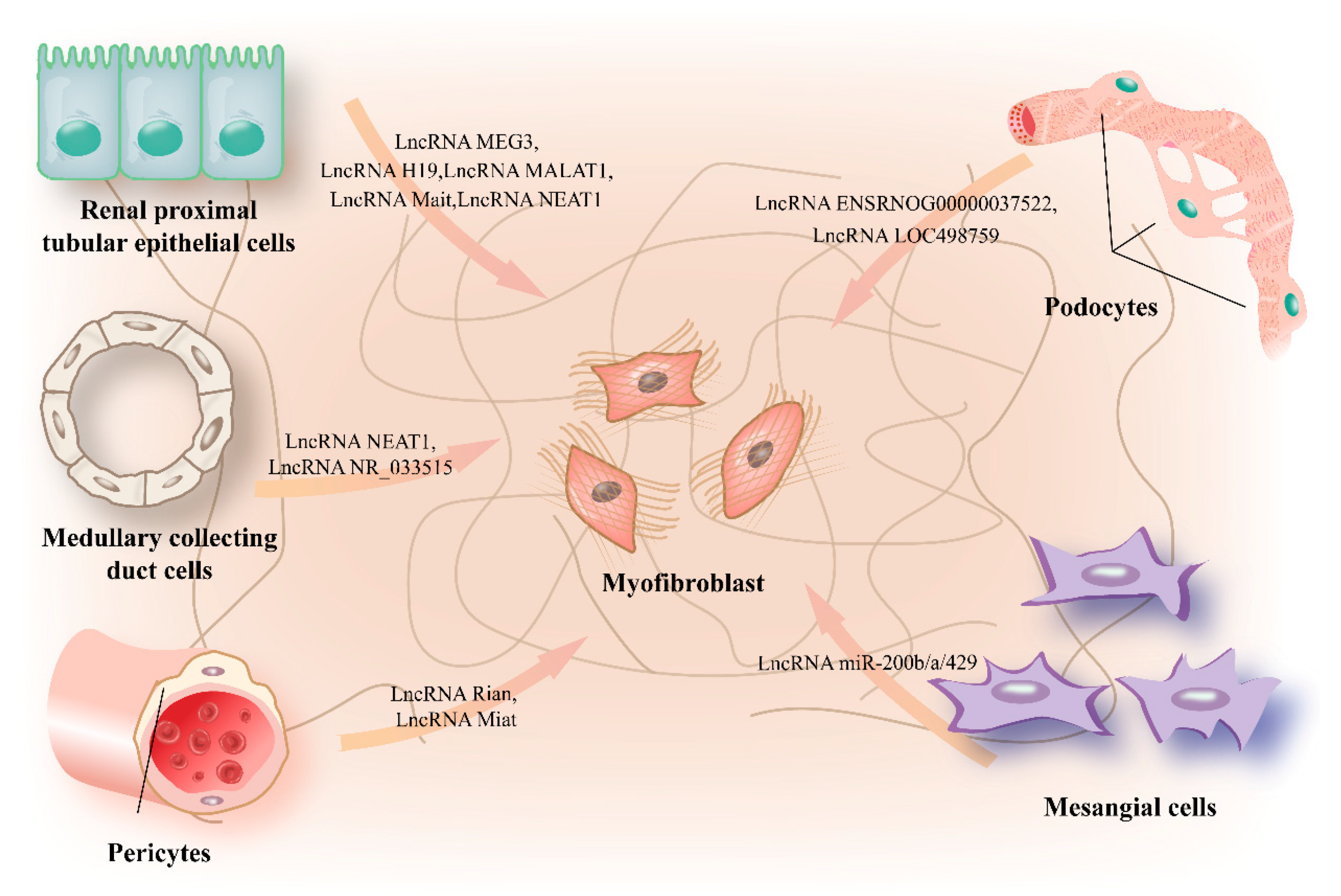 Life 10 00131 g003 Life 10 00131 g003