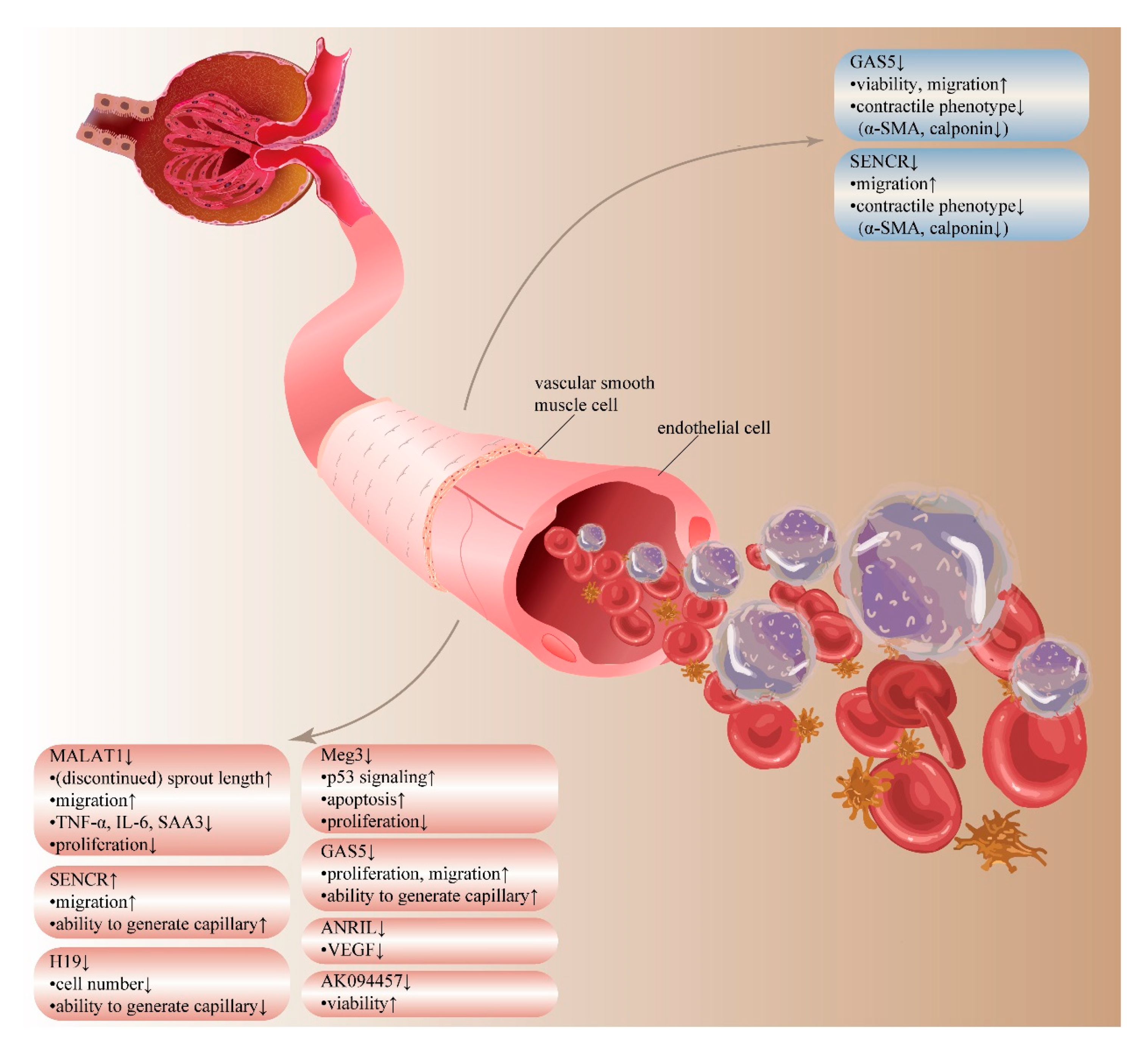 Life 10 00131 g004 Life 10 00131 g004