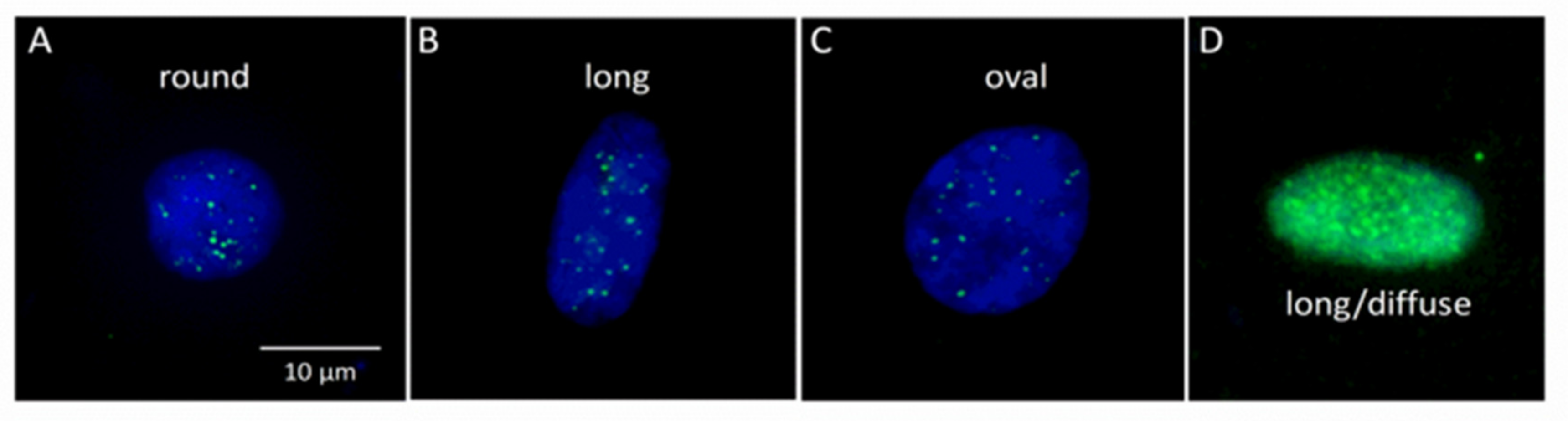Life 10 00141 g002 Life 10 00141 g002