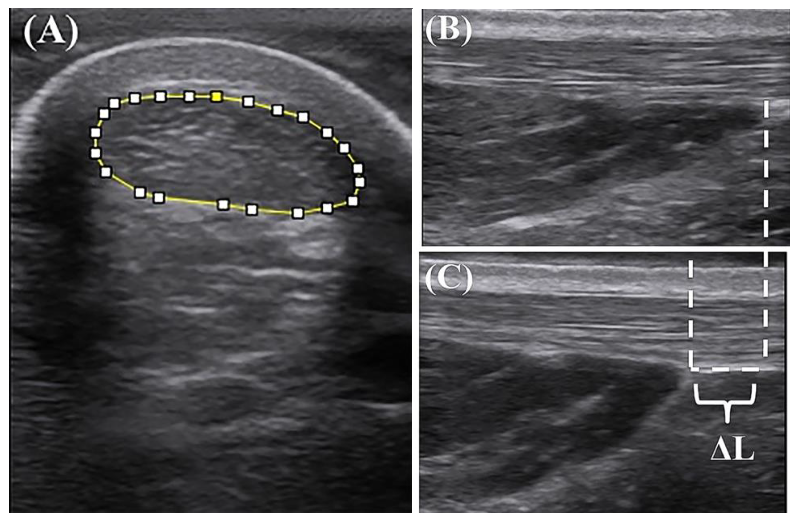 Life 10 00159 g002 Life 10 00159 g002