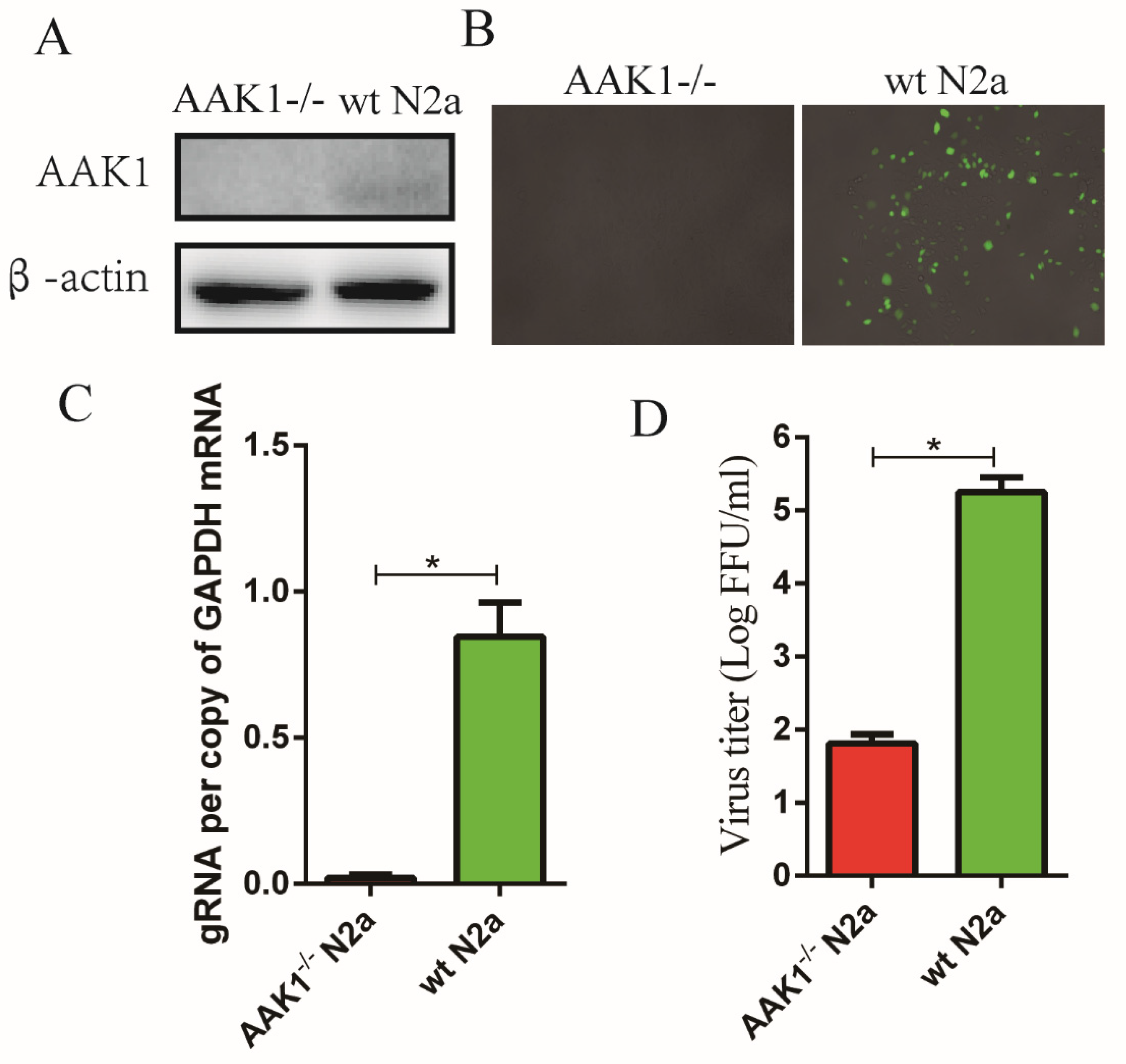 Life 10 00170 g004 Life 10 00170 g004