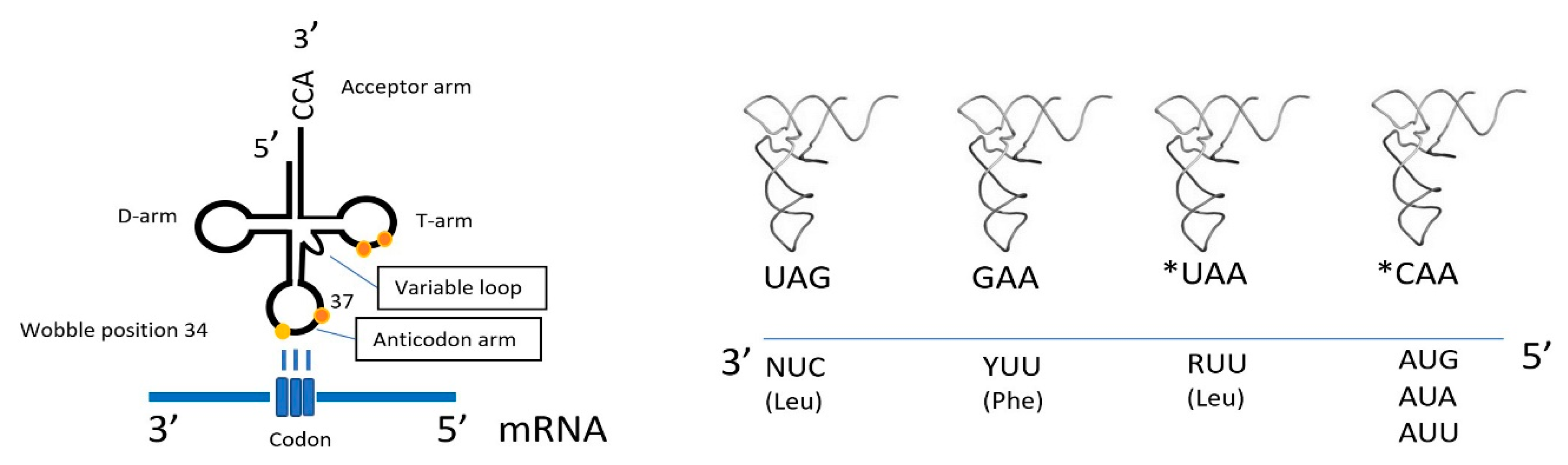 Life 10 00173 g001 Life 10 00173 g001