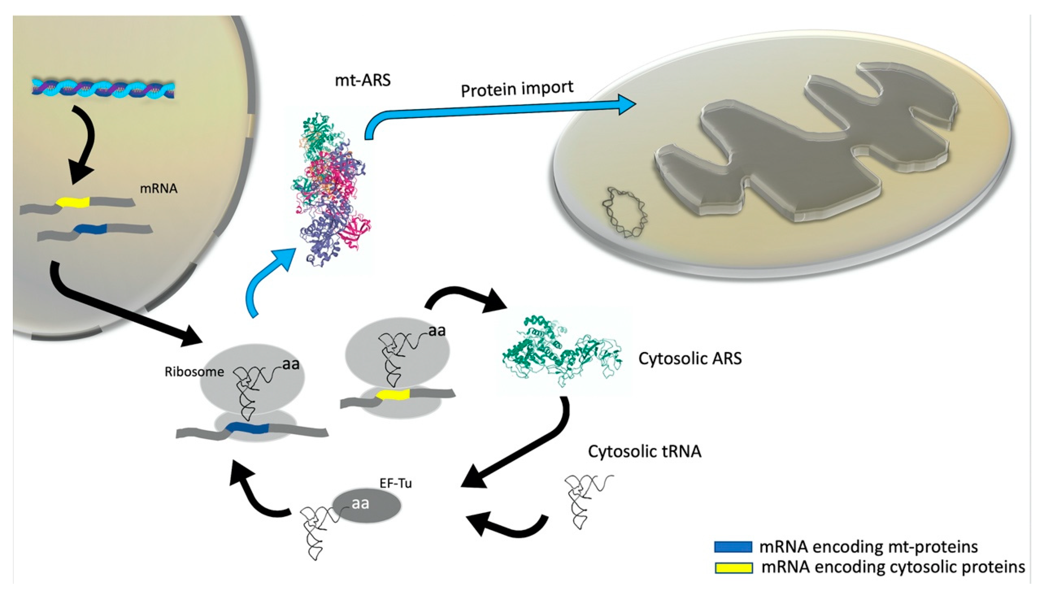 Life 10 00173 g002 Life 10 00173 g002