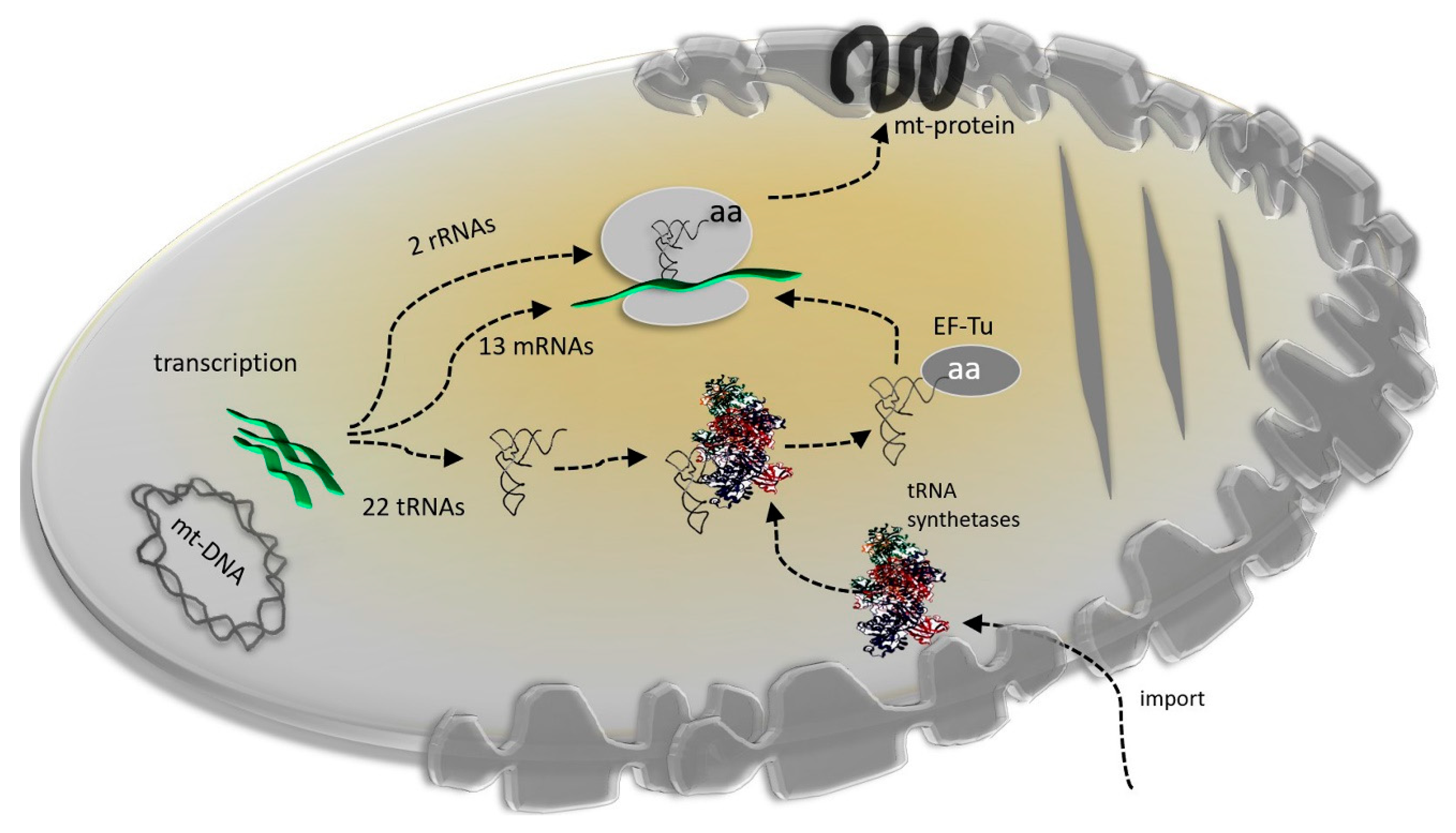 Life 10 00173 g003 Life 10 00173 g003