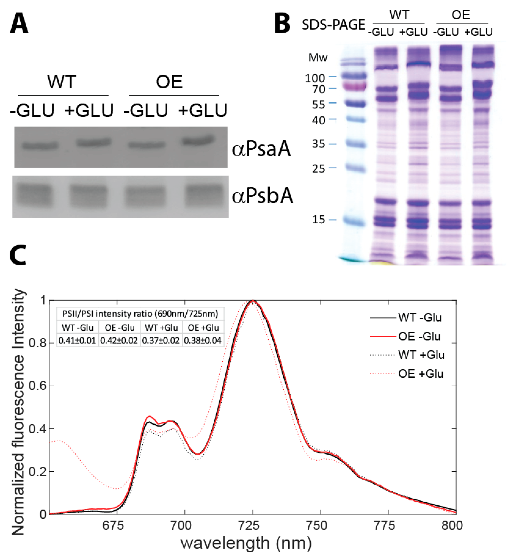 Life 10 00174 g003 Life 10 00174 g003