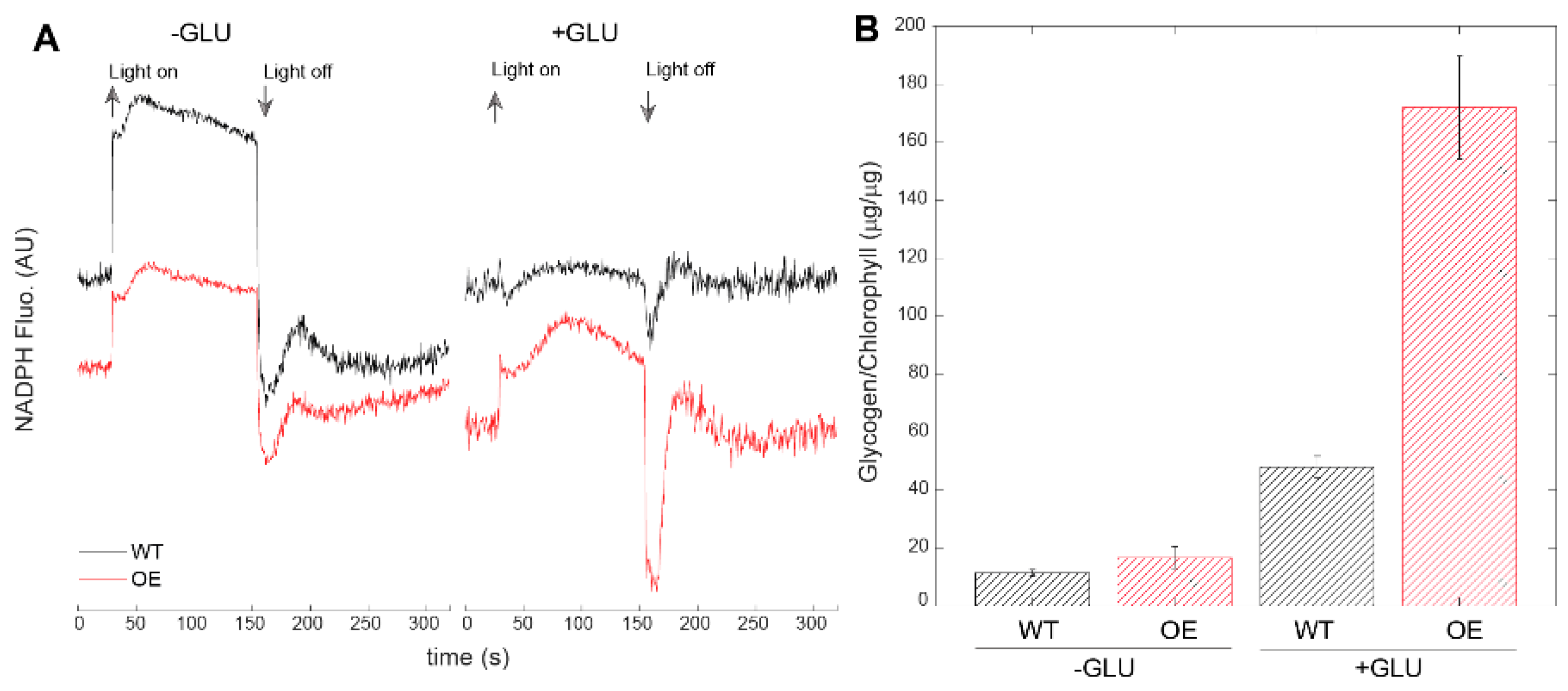 Life 10 00174 g004 Life 10 00174 g004