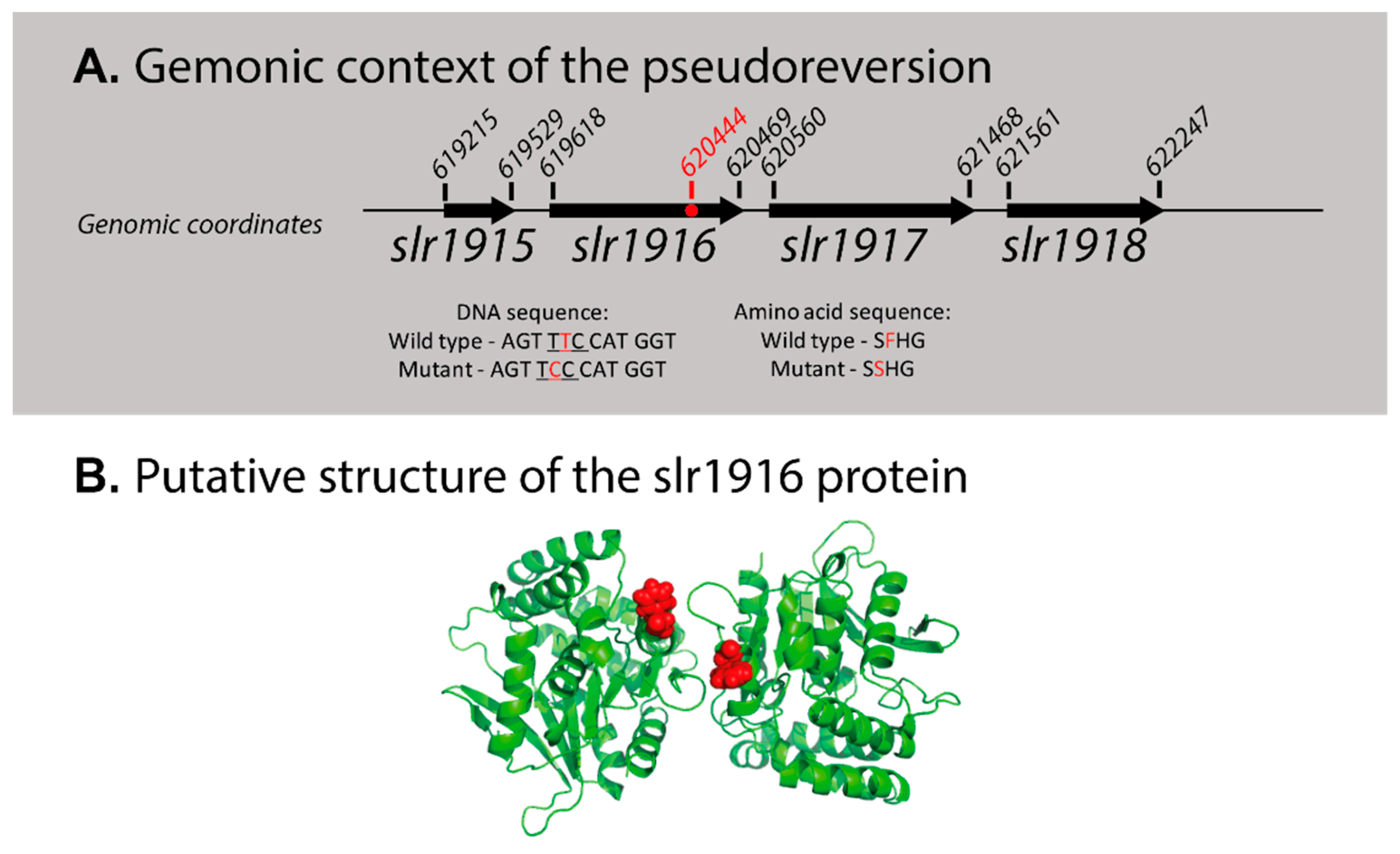 Life 10 00174 g006 Life 10 00174 g006