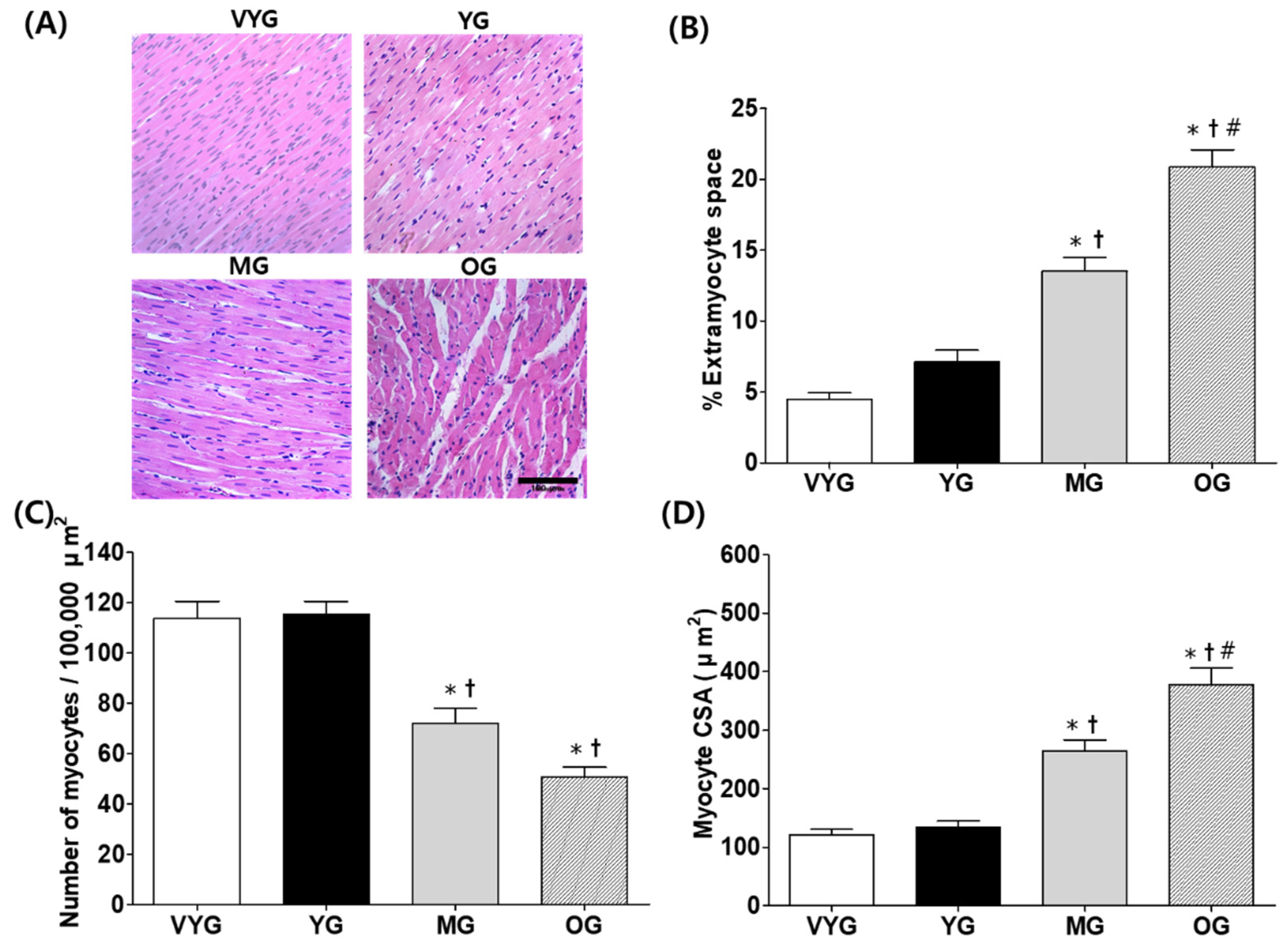 Life 10 00178 g001 Life 10 00178 g001